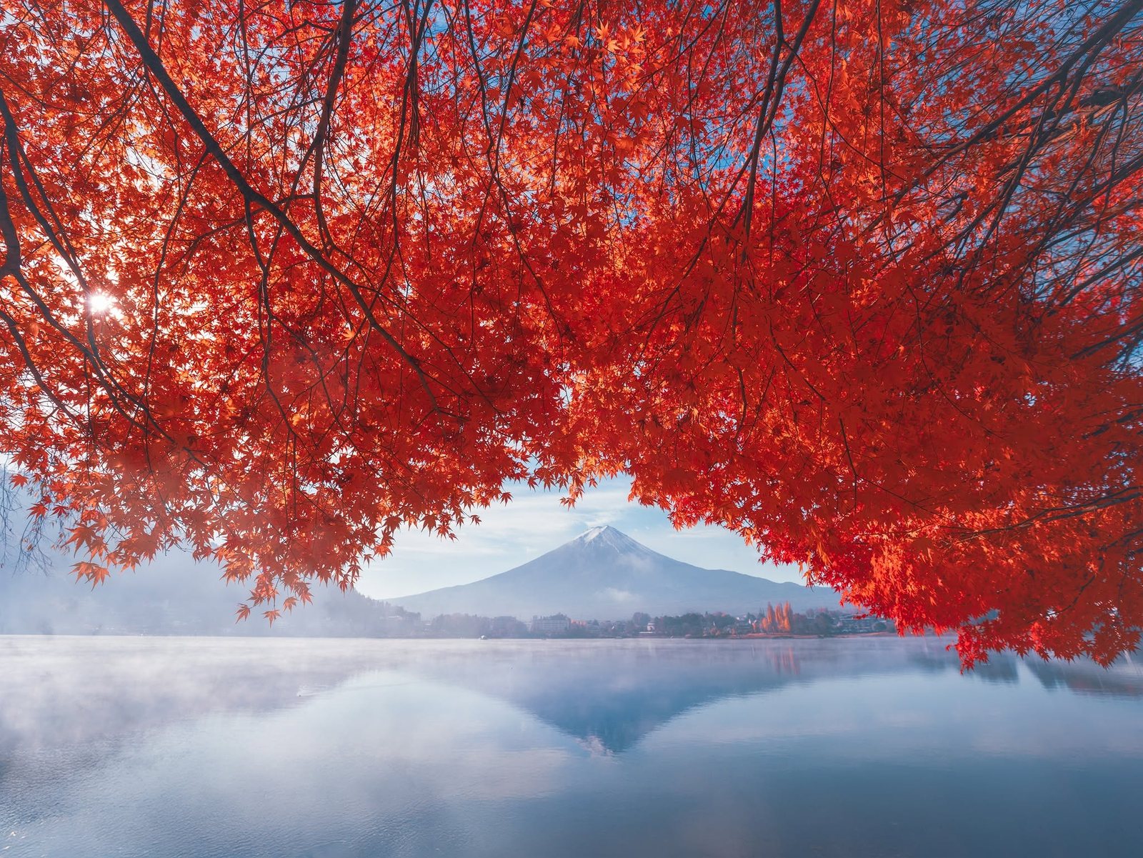 Ngắm lá đỏ quanh núi Phú Sĩ: Momiji corridor hồ Kawaguchi và Fuji Five Lakes