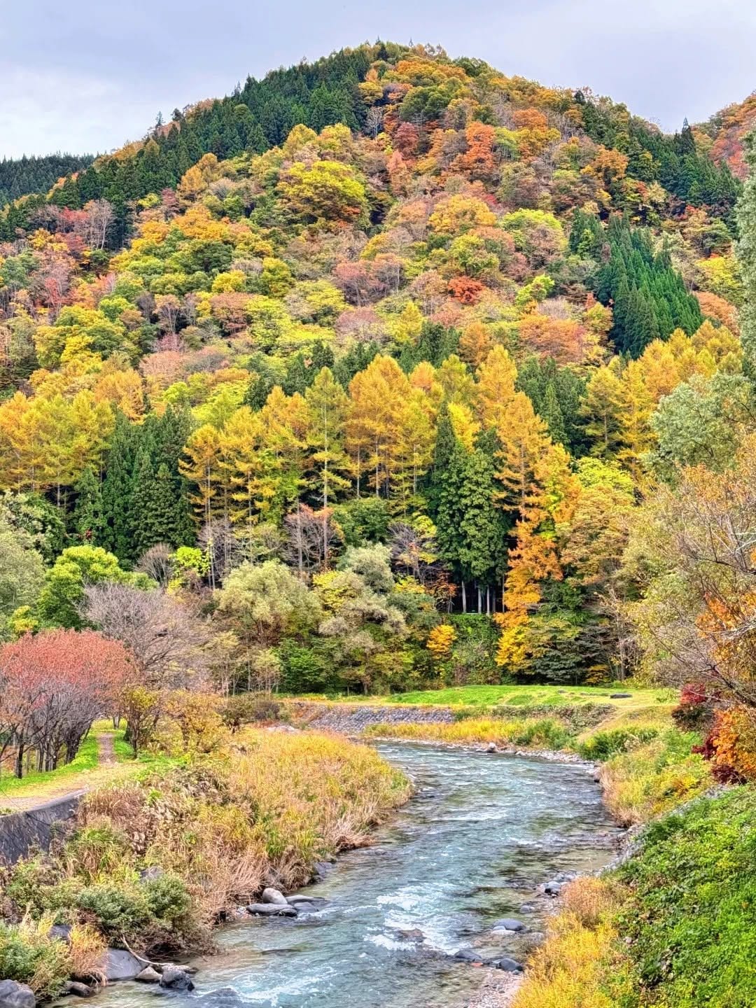 Six Days of Doburoku Festivals in Shirakawa-go in Mid-October