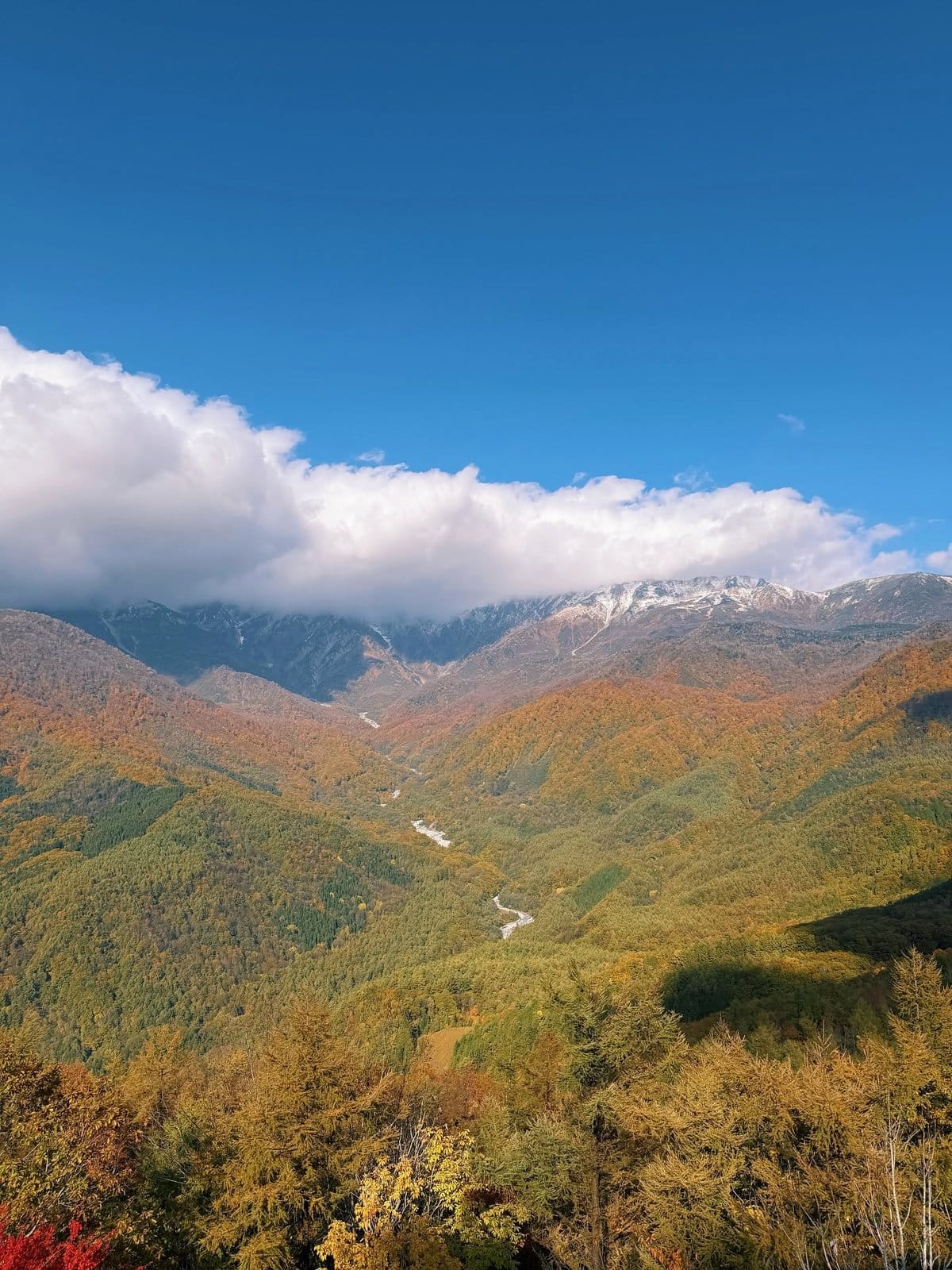 One Day in Nagano in Autumn: Three Itineraries, and Why You Have to Pick One