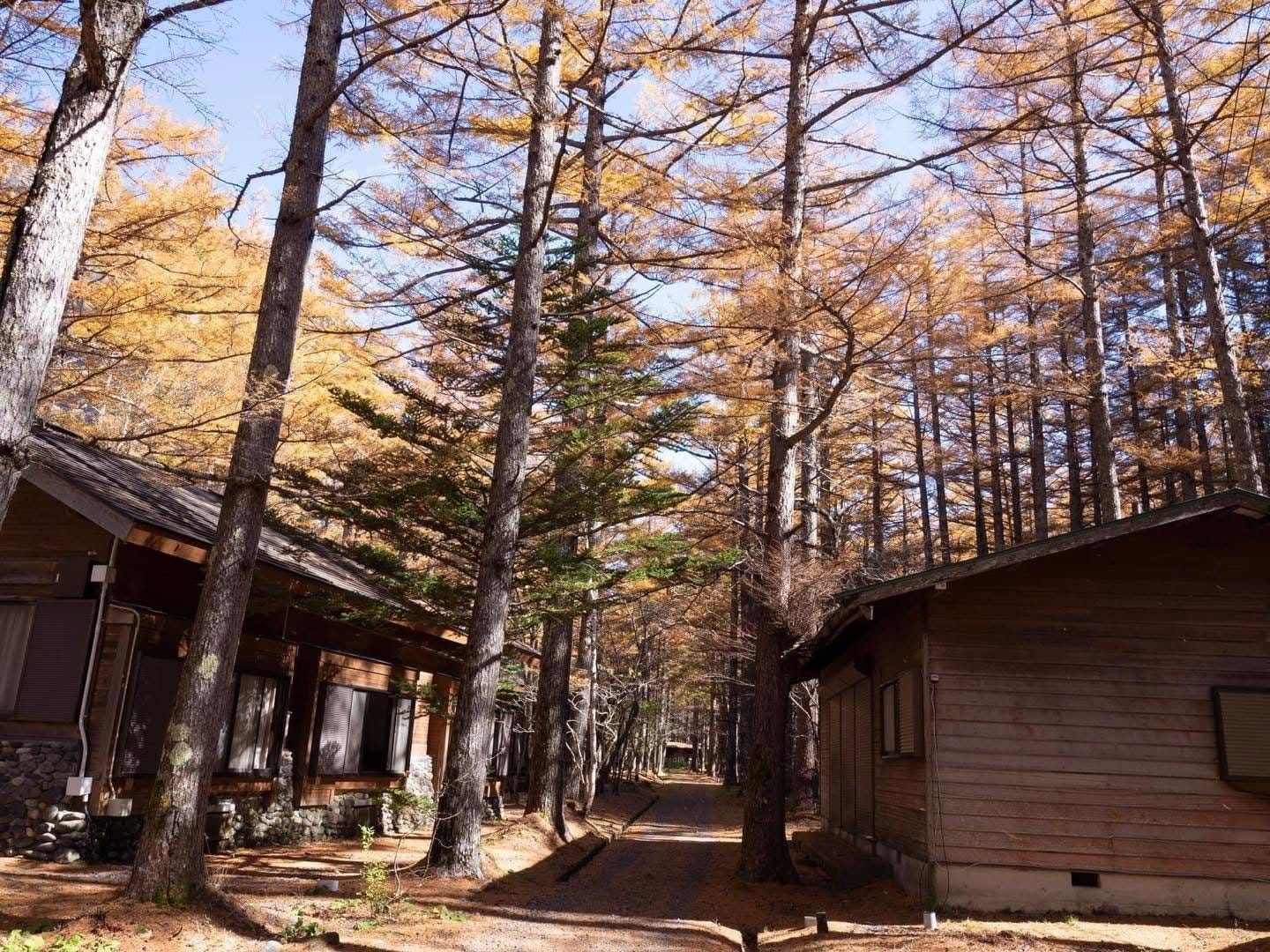 Kamikochi & Hakuba 2-Day Autumn Tour from Tokyo