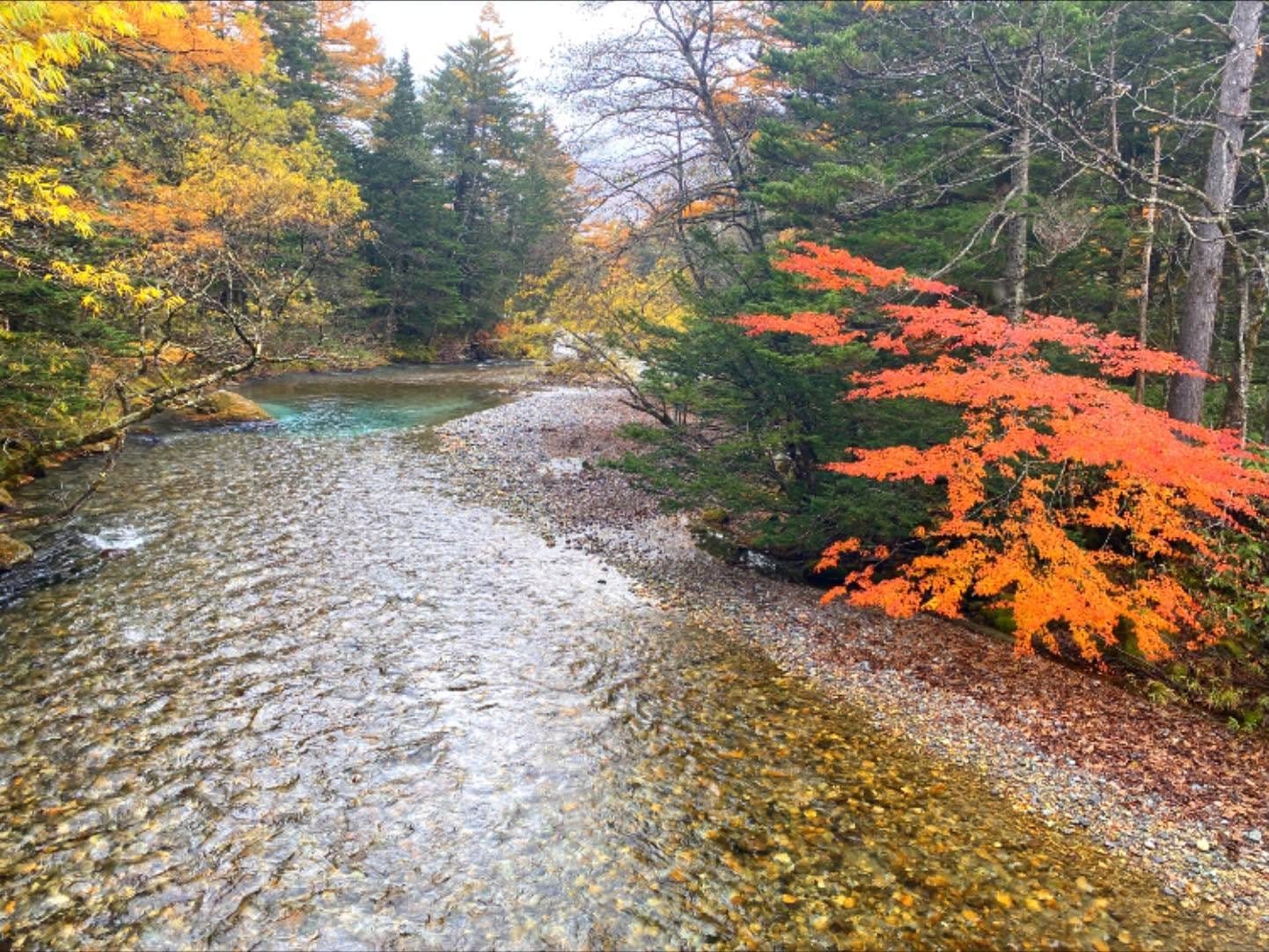 長野の紅葉、本当に行く価値がある12か所