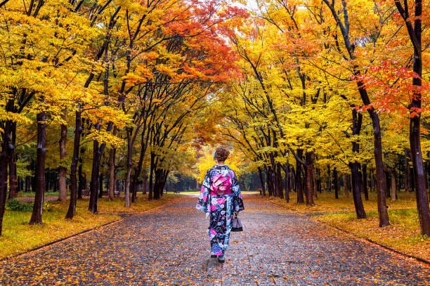 Wann ist die beste Jahreszeit, um in Japan einen Kimono zu tragen? Sakura, Herbstlaub, weißer Schnee