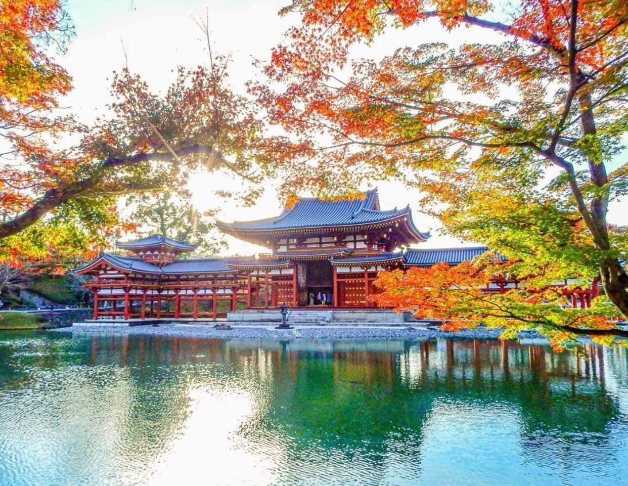 Kyoto in Autumn on a Plate: From Matsutake to Steaming-Hot Yudofu