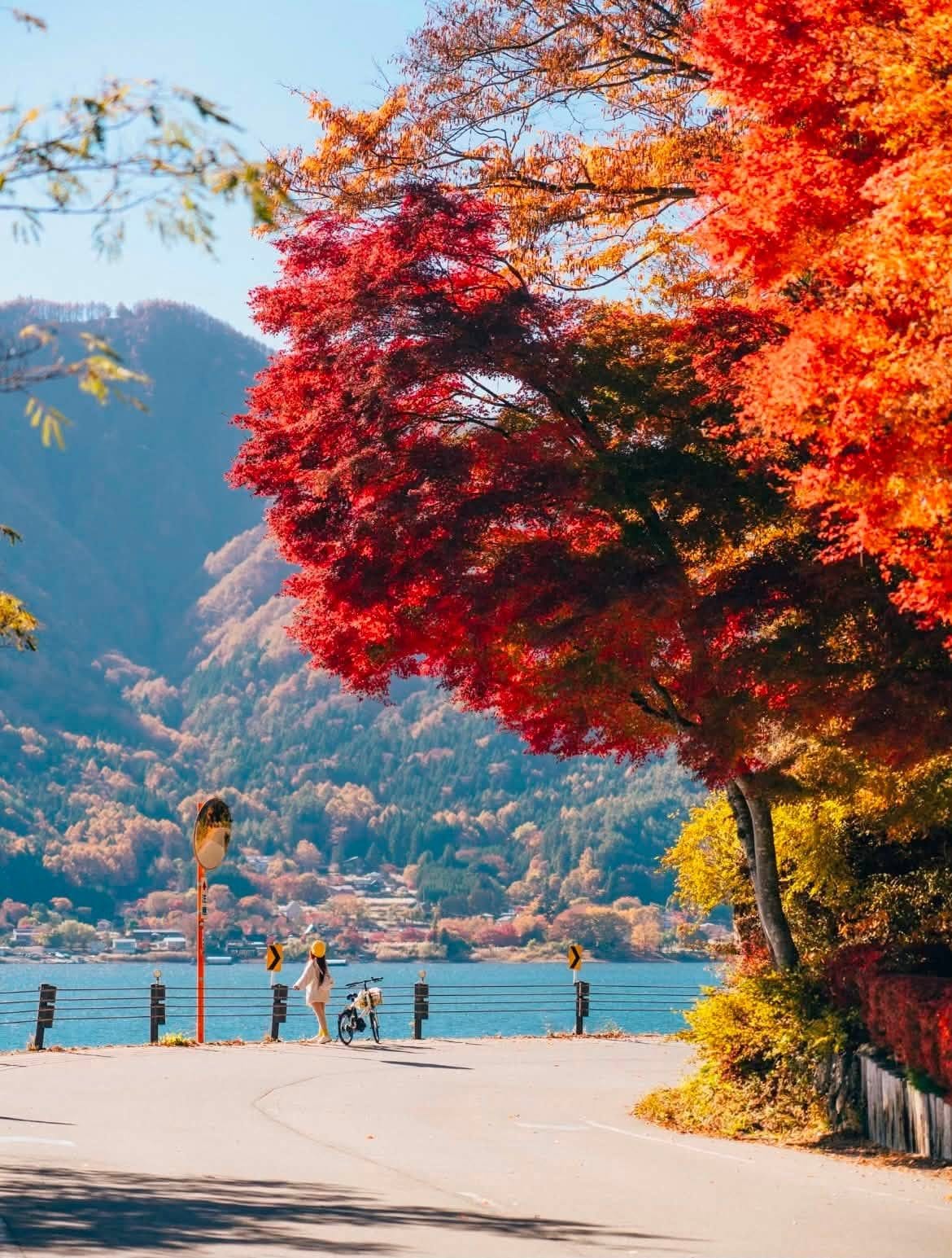 Nighttime Autumn Leaves in Kyoto: Tickets, Hours, and Queueing Strategies