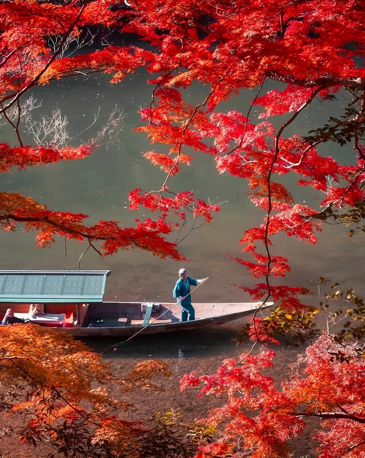A Day of Chasing Kyoto’s Autumn Colors, Hour by Hour