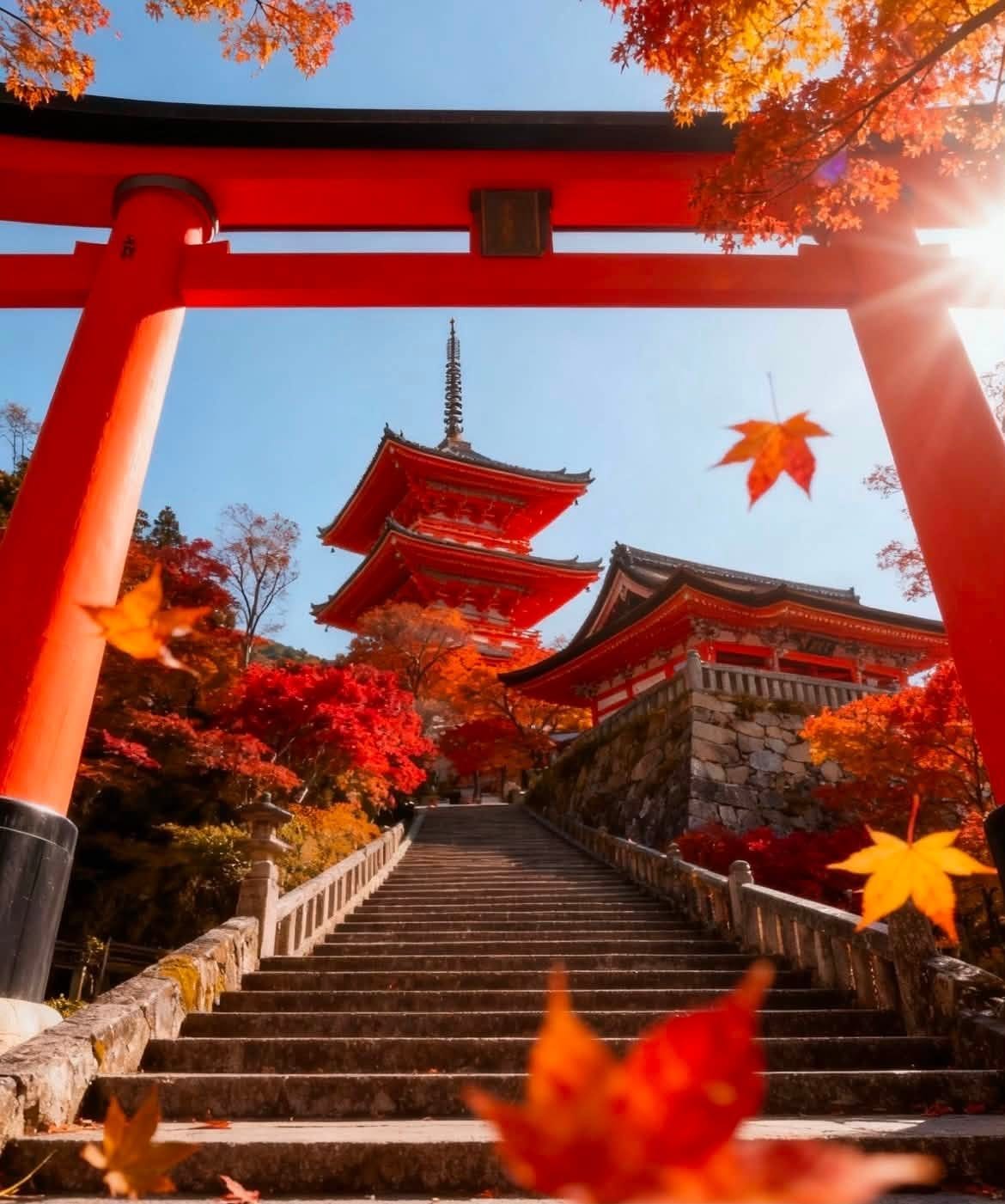 Kyoto in the Fall Foliage: Take the Train Instead of the Bus to Avoid Getting Stuck in the Crowds