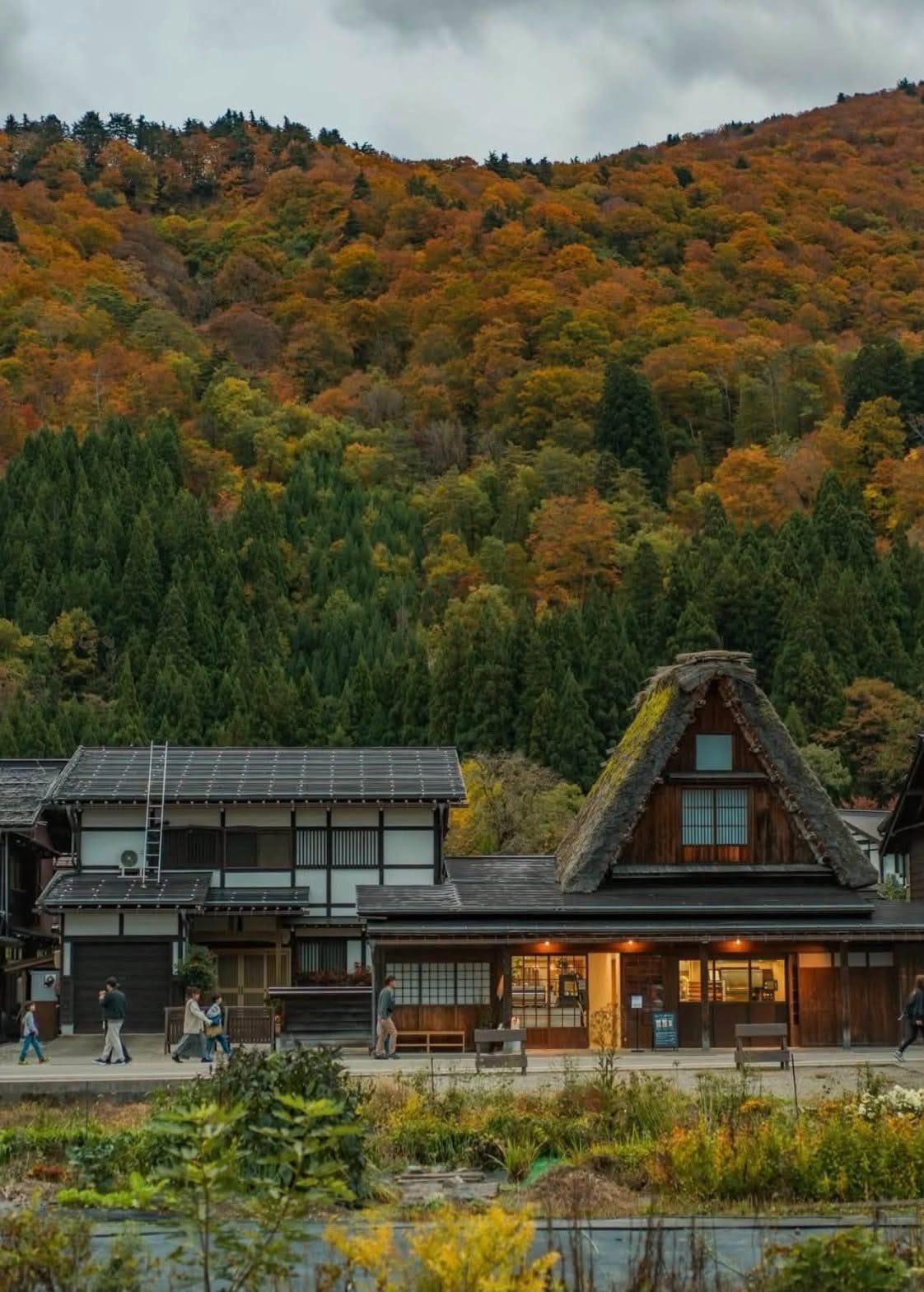 Hida Takayama·Shirakawa Village
