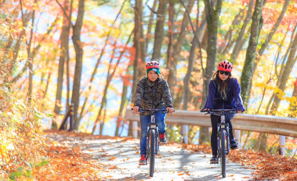 Autumn MTB Fun-ride