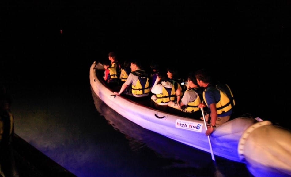 Night Cruise on the Lake