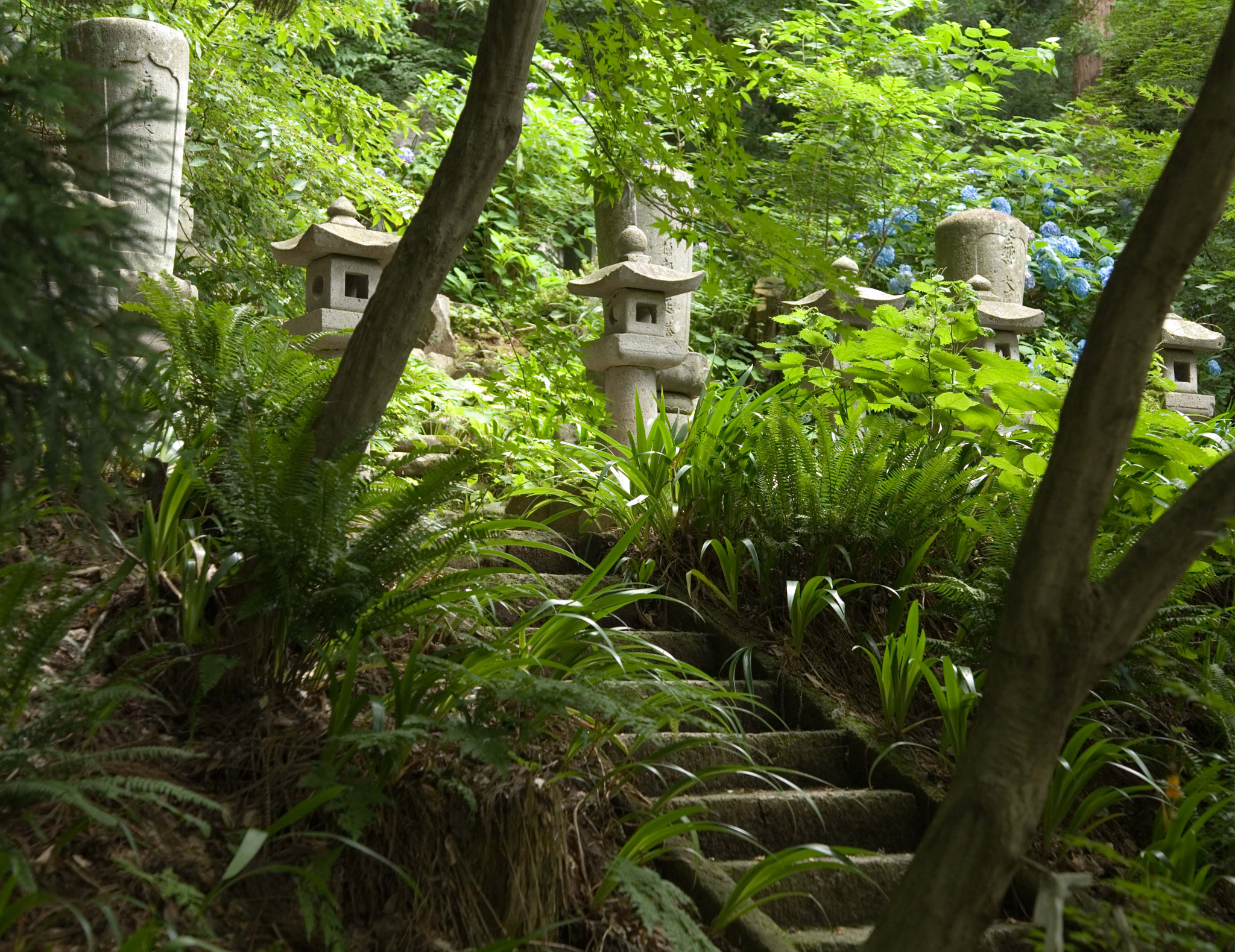 Stone lanterns and memorial stones beside the mossy stairway at Yamadera (Risshaku-ji), Yamagata