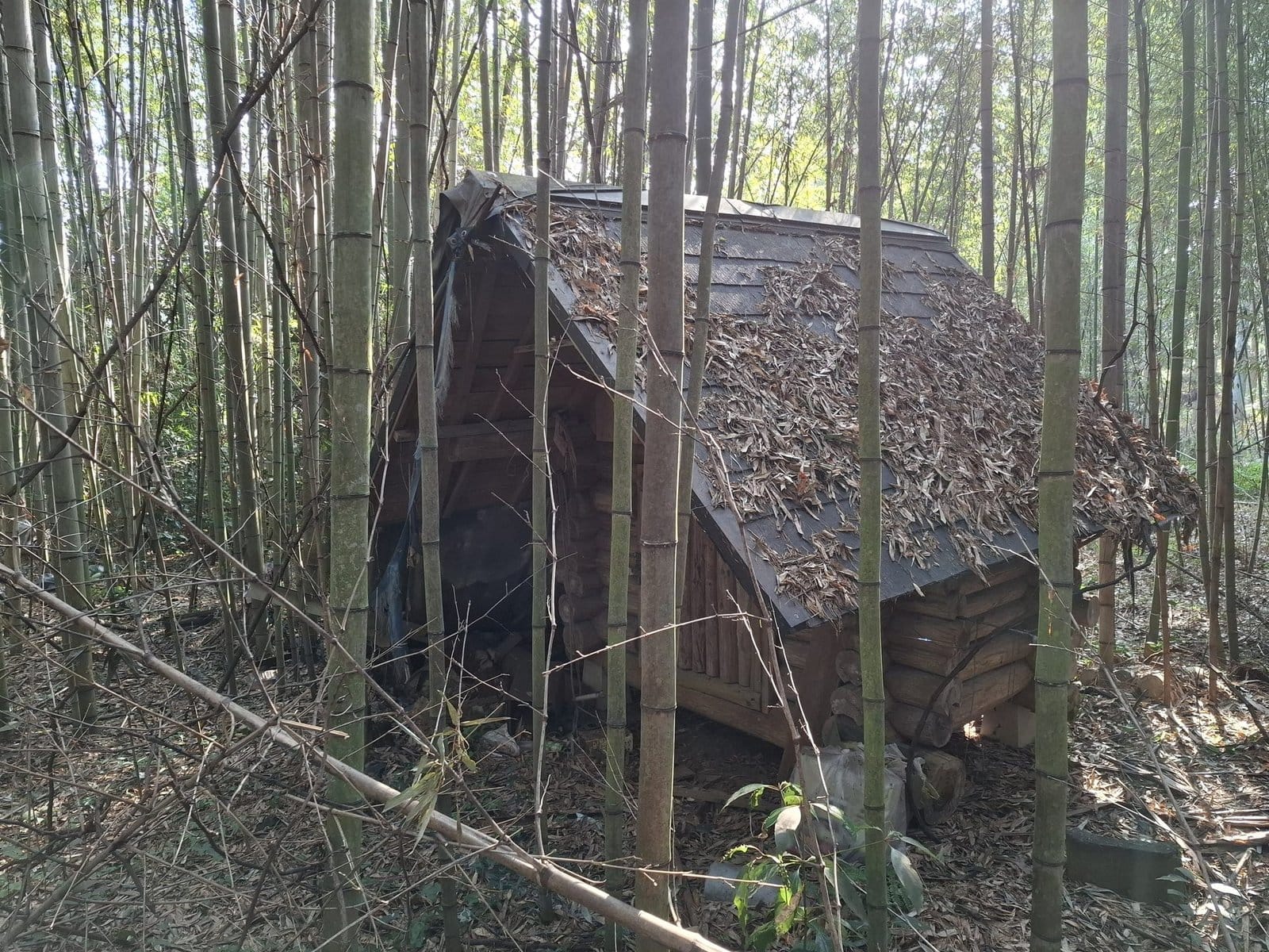 Do ¥0 Homes in Japan Really Exist? Getting a Free House and the Price You Pay