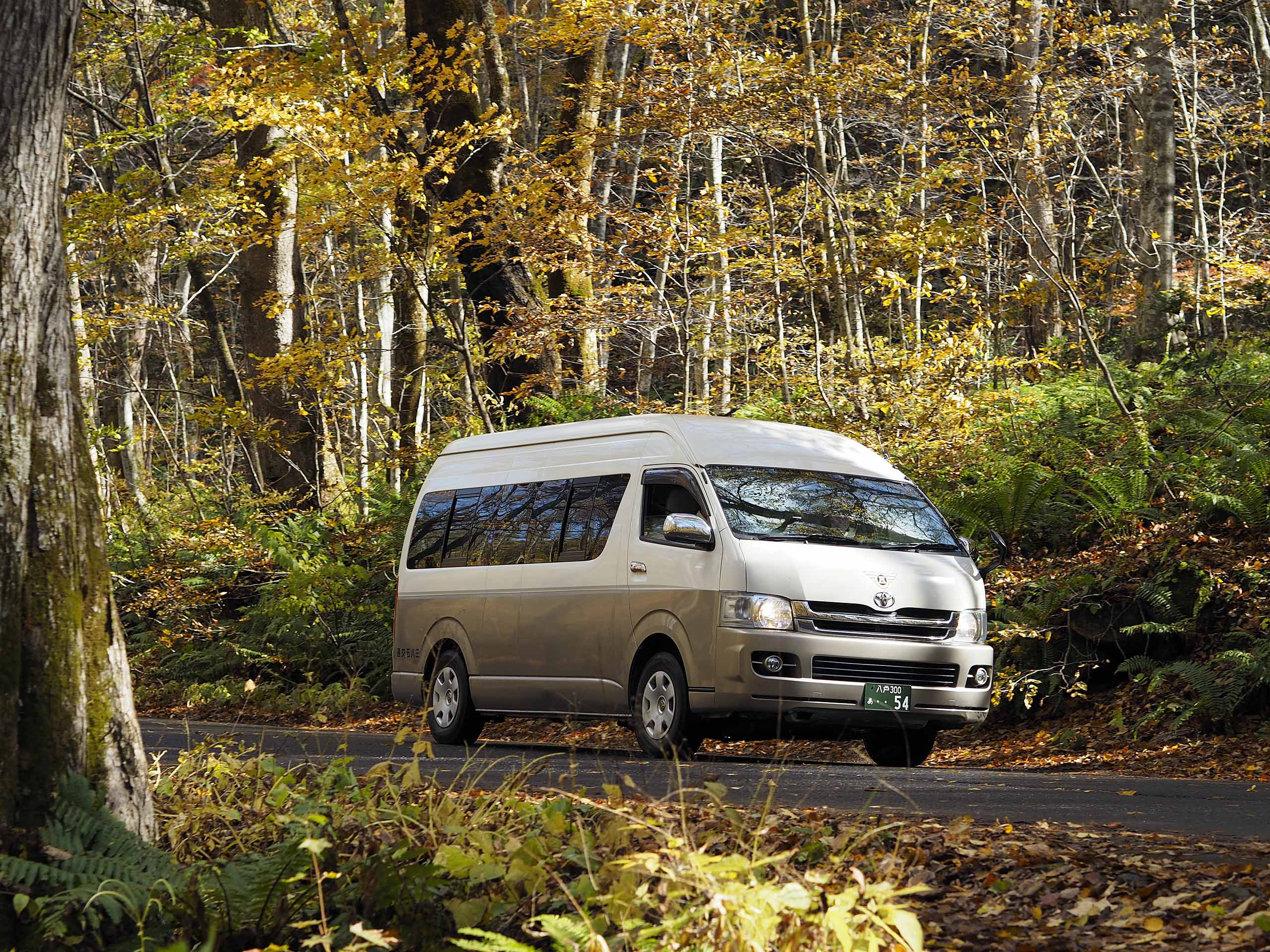 HiAce 10-Seater for Big Families: Tokyo, Fuji and Hakone Made Easy