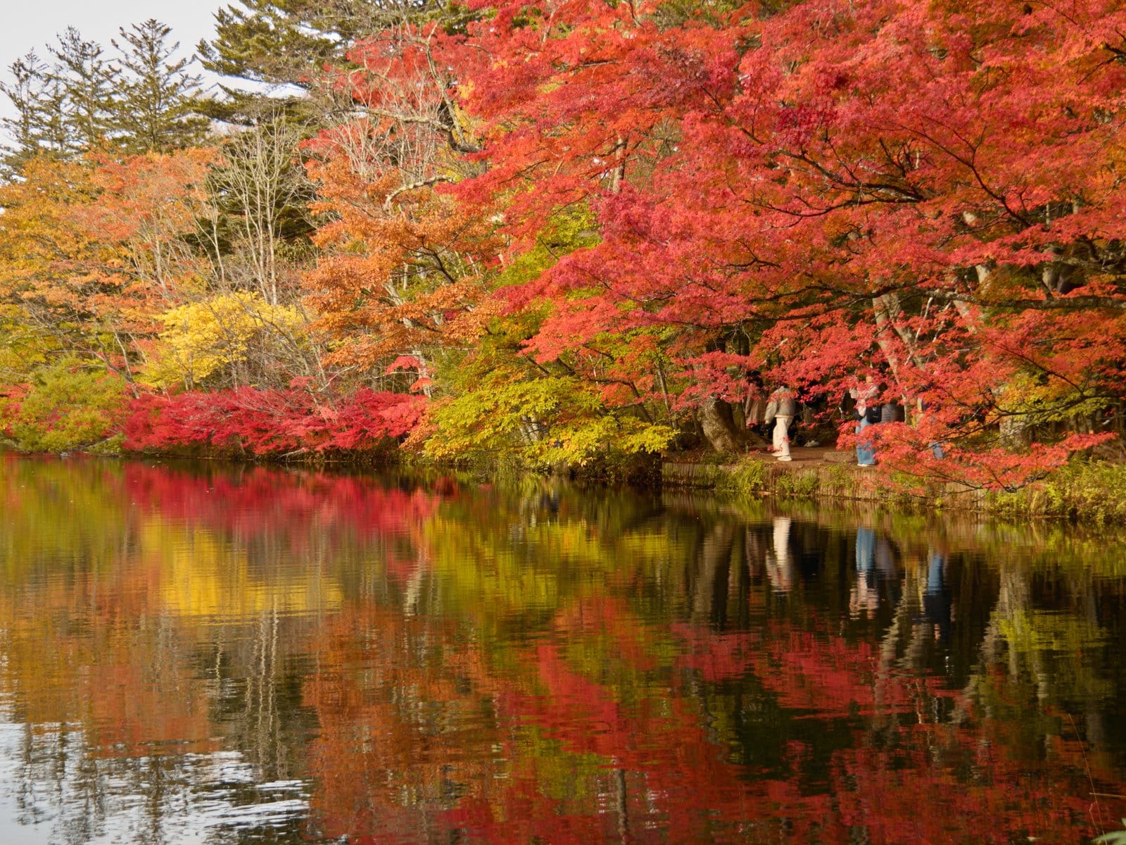 Karuizawa’s Week-by-Week Fall Foliage Calendar