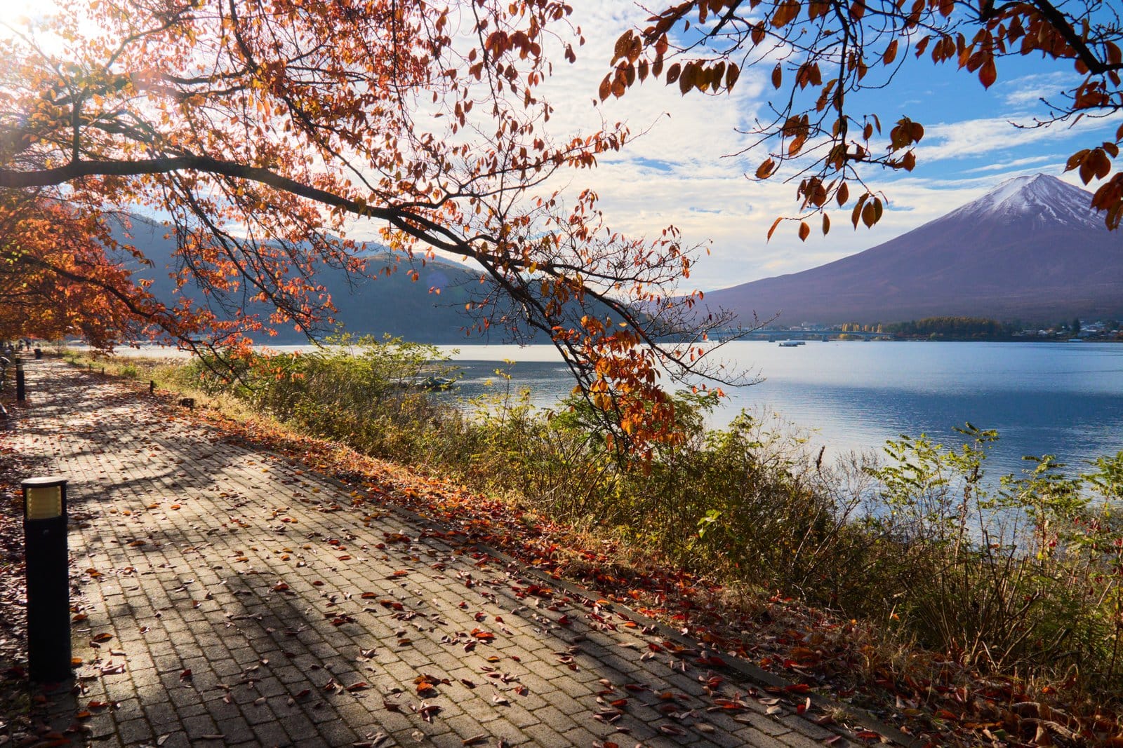 Kawaguchiko — 7 Best Spots to See Mount Fuji (+ How to Get There from Tokyo)
