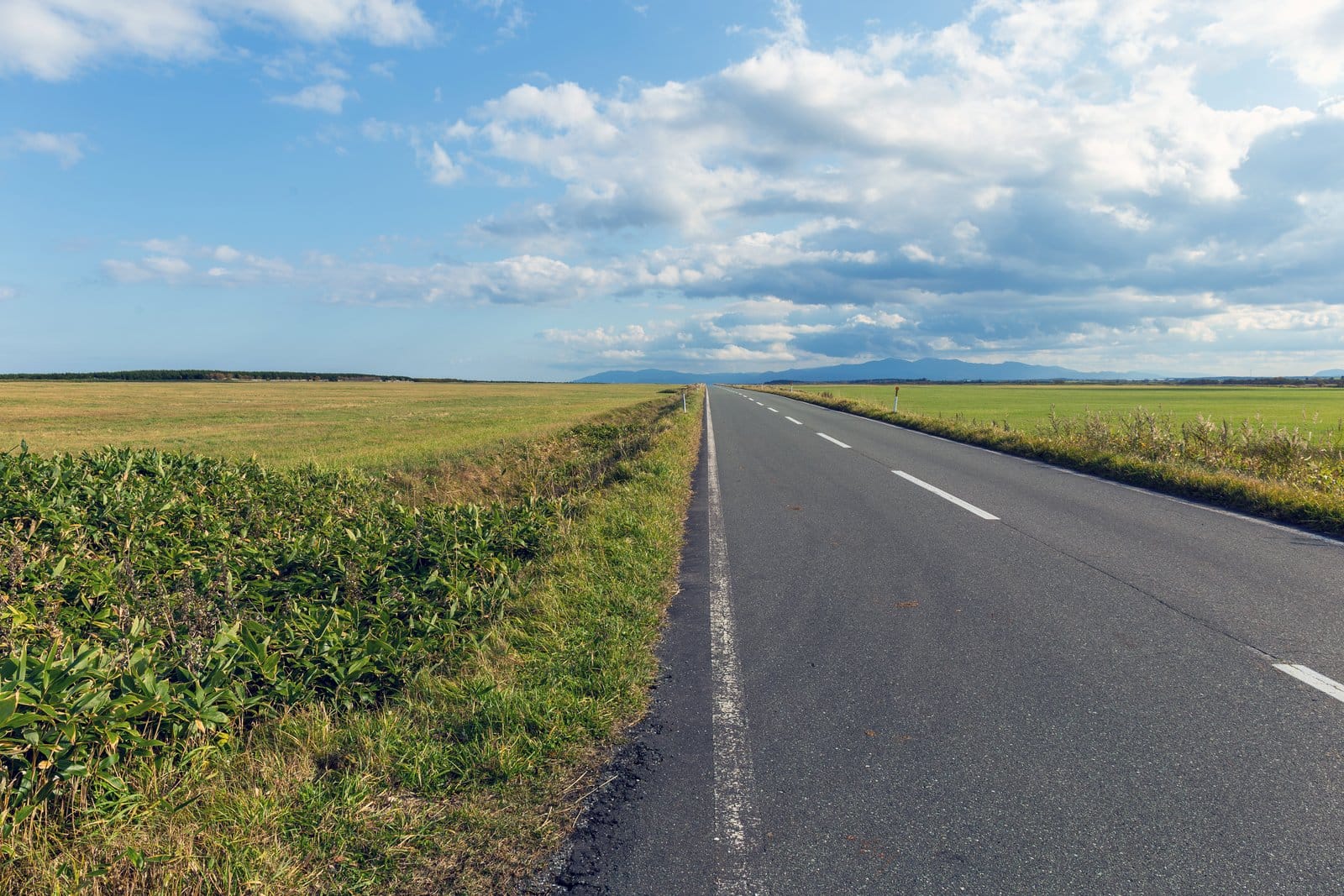 Roads to Heaven: Hokkaido's Legendary Straight Roads