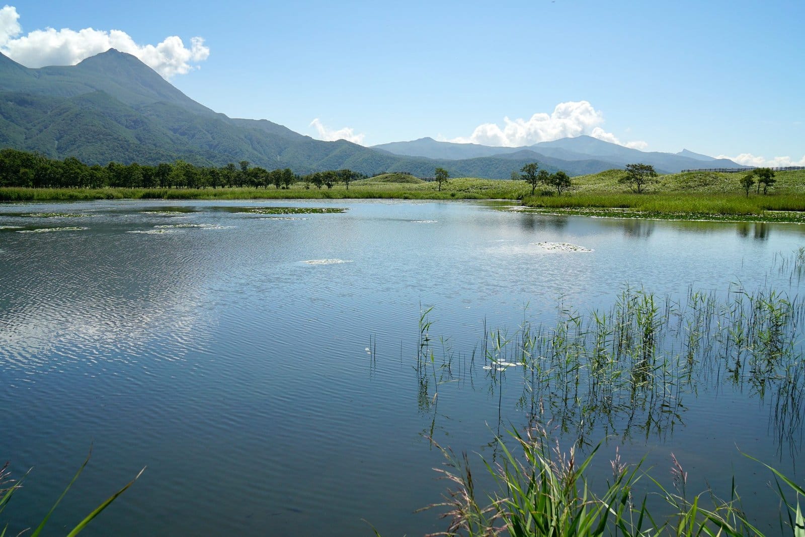 Shiretoko Peninsula – Japan's Wild UNESCO Frontier in Hokkaido