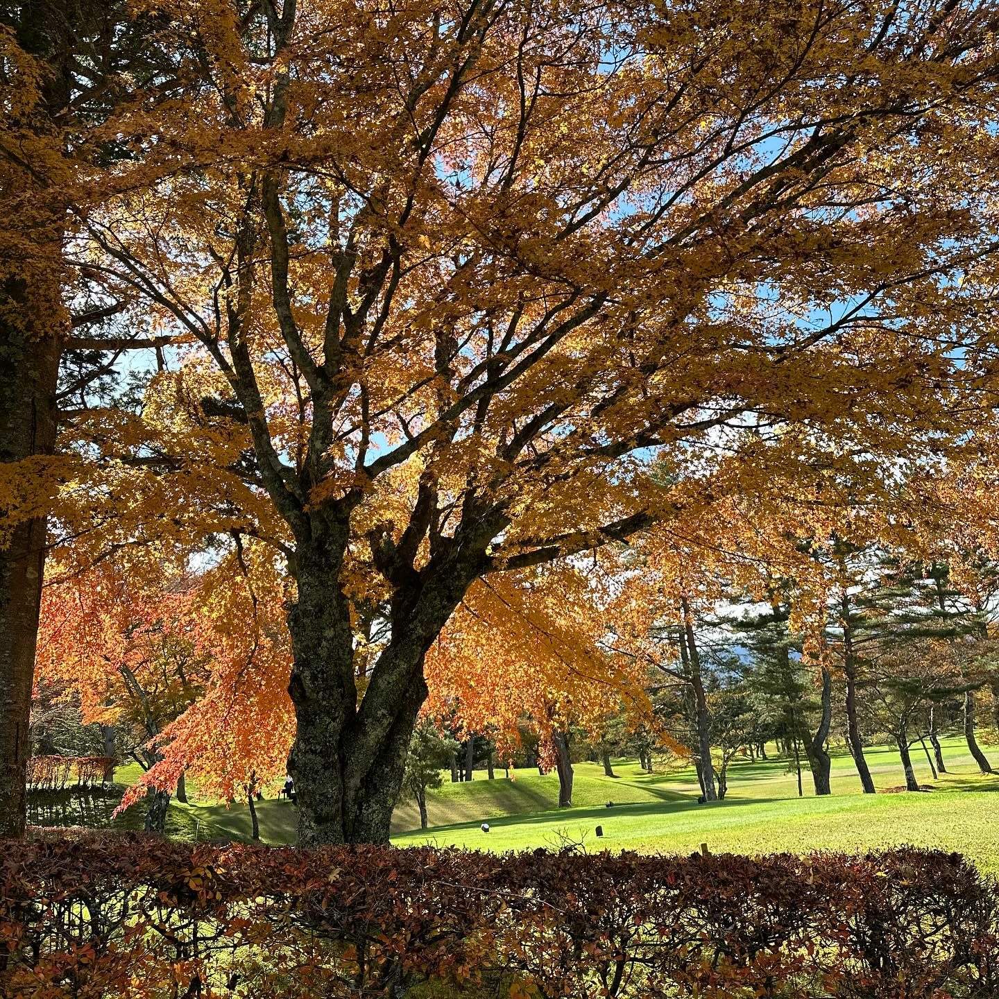 Golfreise Hakone