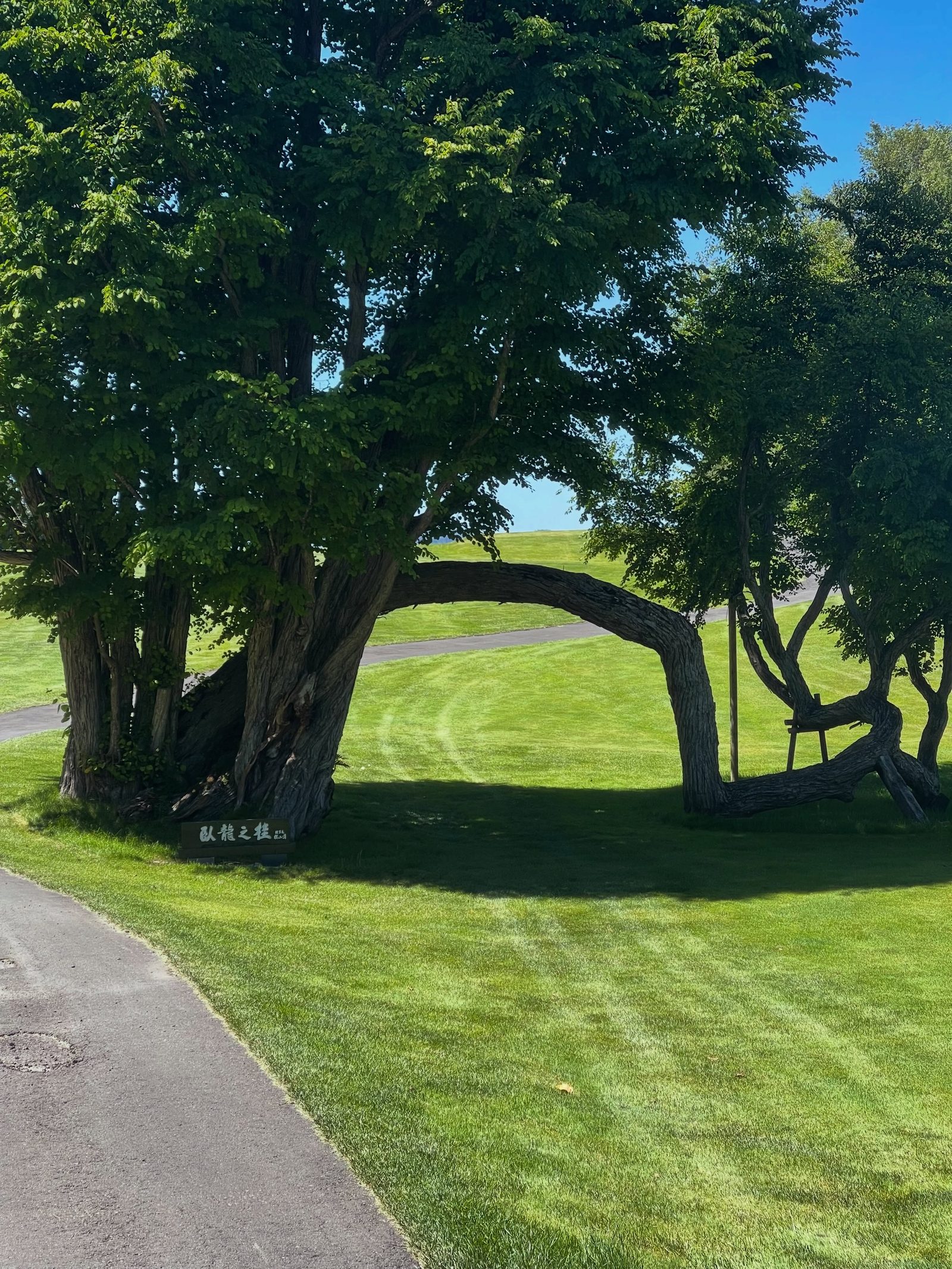 Grand Fields Country Club 4