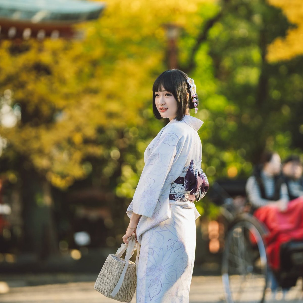 Tokyo tour in kimono by private car with a professional guide. — 3