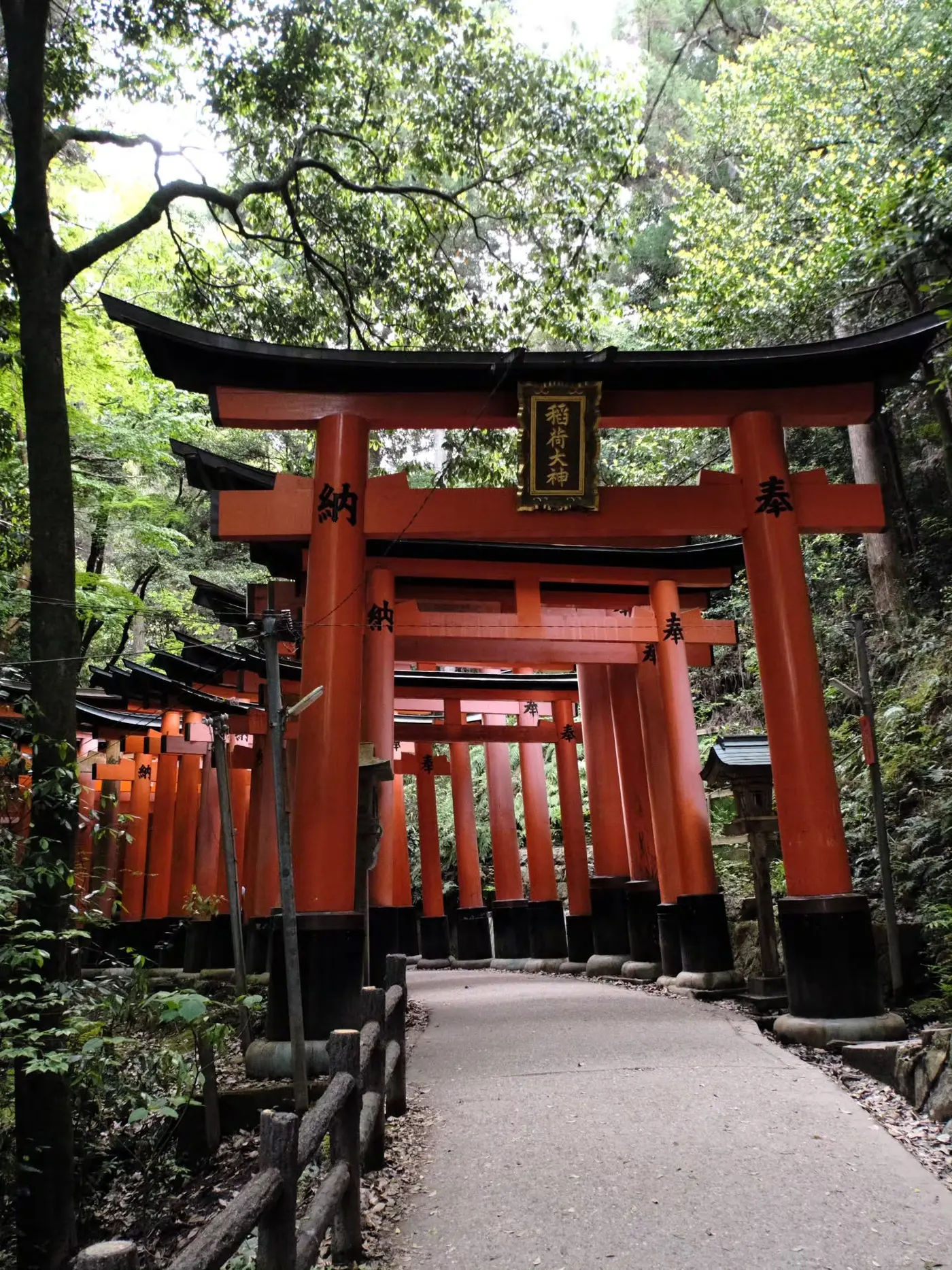 Fushimi Inari torii hike — 3