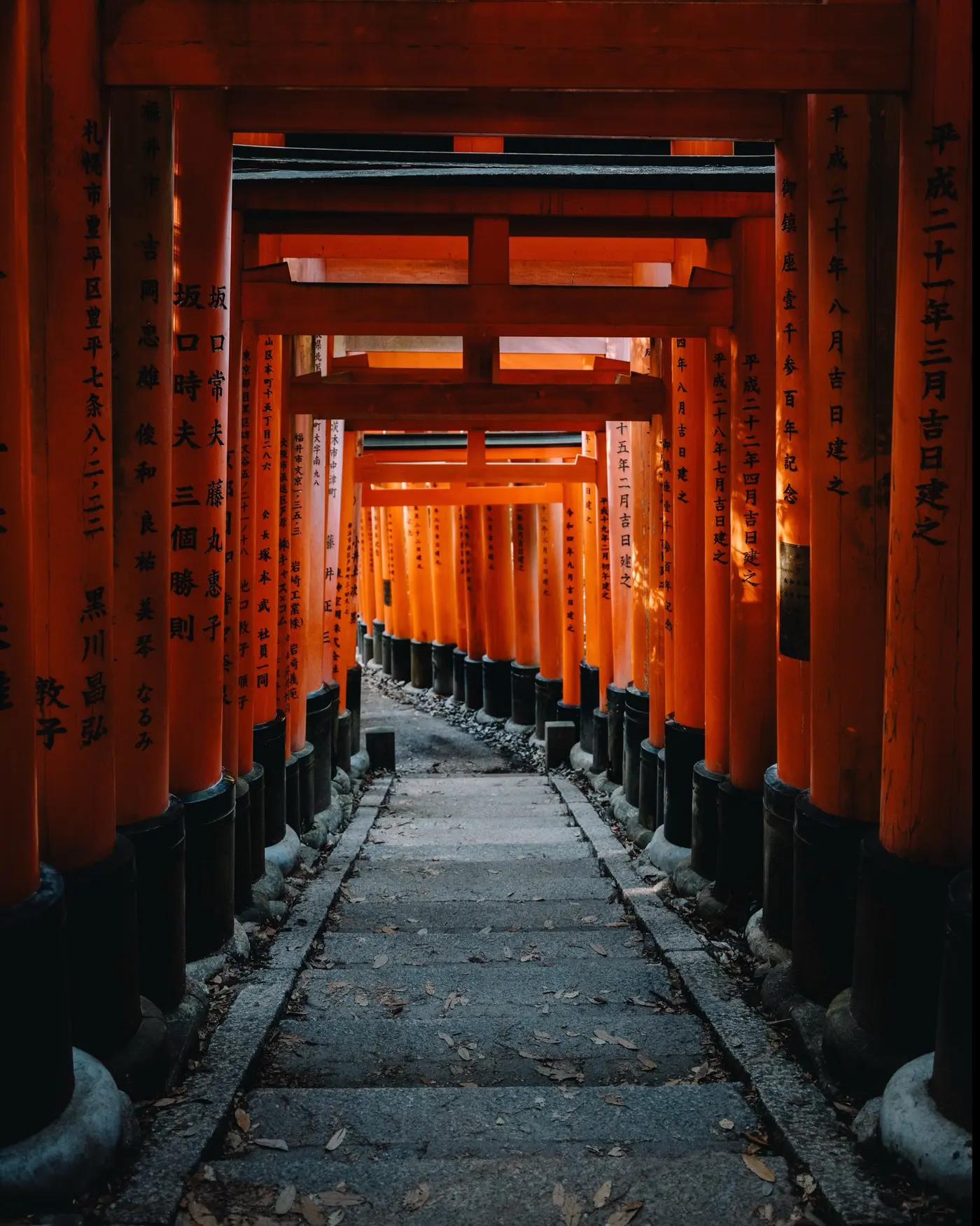 Fushimi Inari torii hike — 1