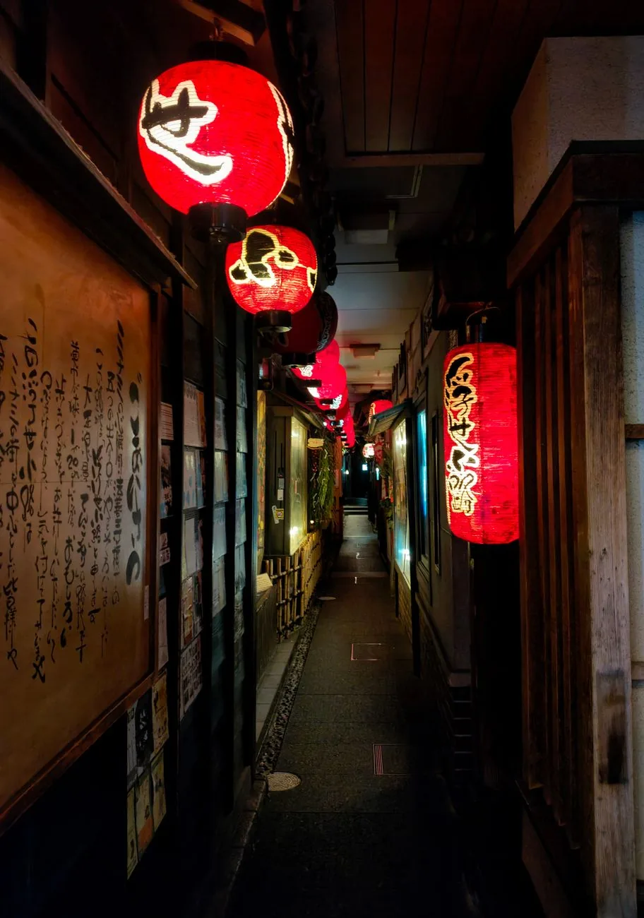 Shinjuku izakaya-Hopping: Omoide Yokocho & Golden Gai — 3
