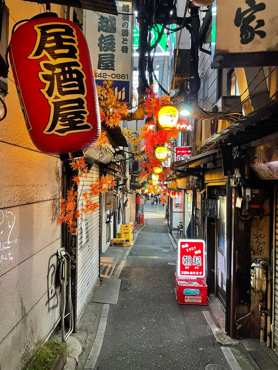 Shinjuku izakaya-Hopping: Omoide Yokocho & Golden Gai — 1