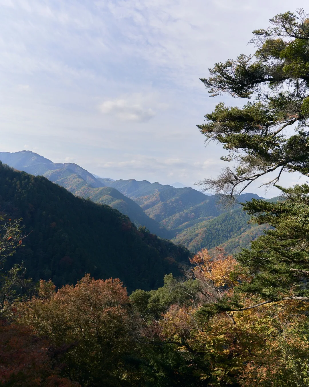 Mount Takao: Tokyo's own mountain, up and down in a day