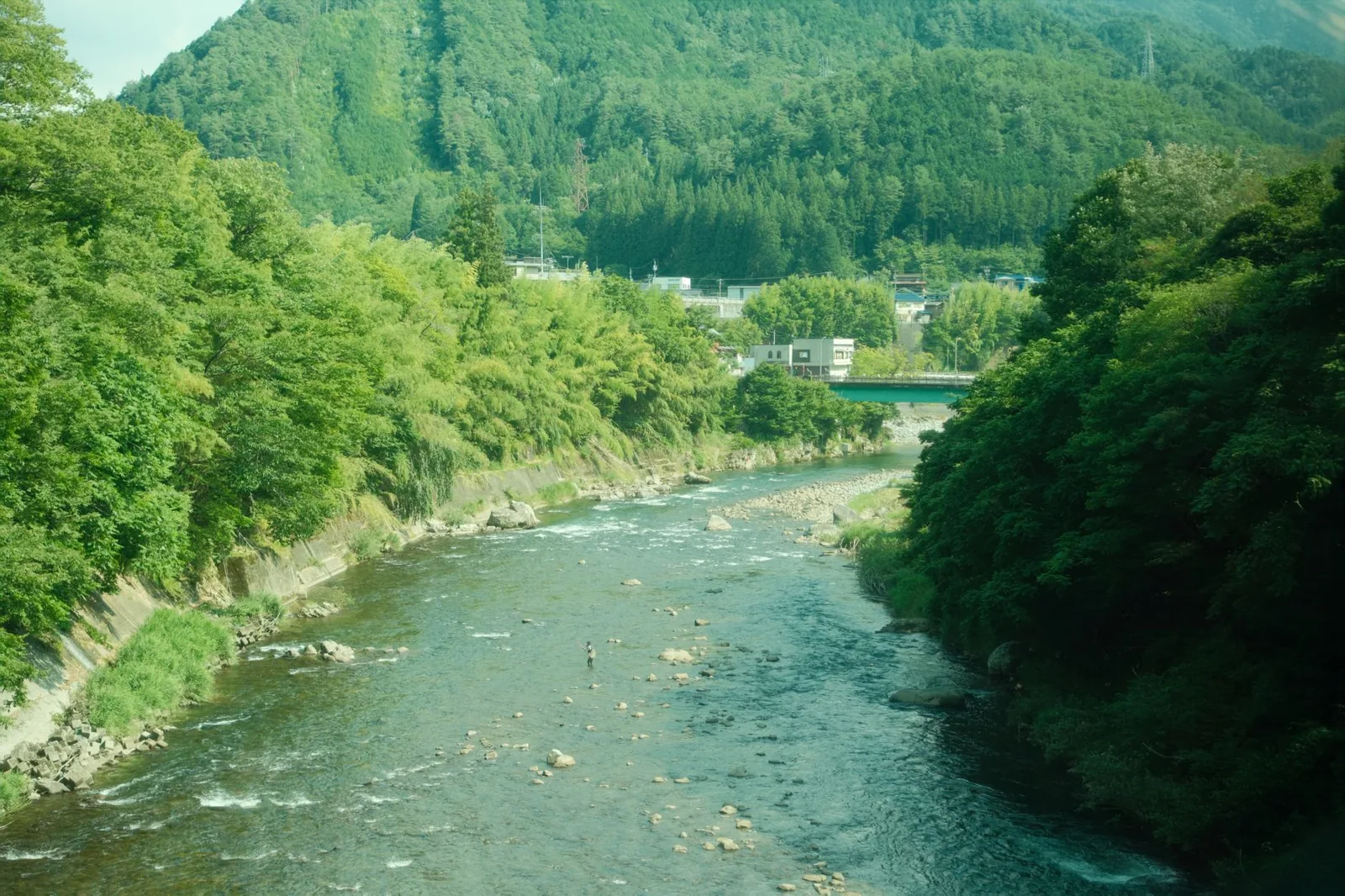 Okutama: Wasabi-Farmen im Bachbett und Bergwald, weiterhin in Tokyo