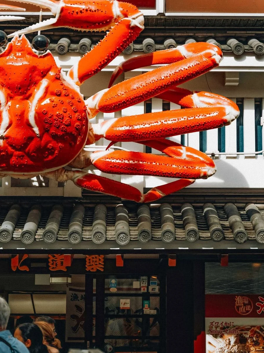 Kansai Beginner Mode 6-Day Tour: Osaka, Kyoto & Nara Core Route — OlaChill day tour