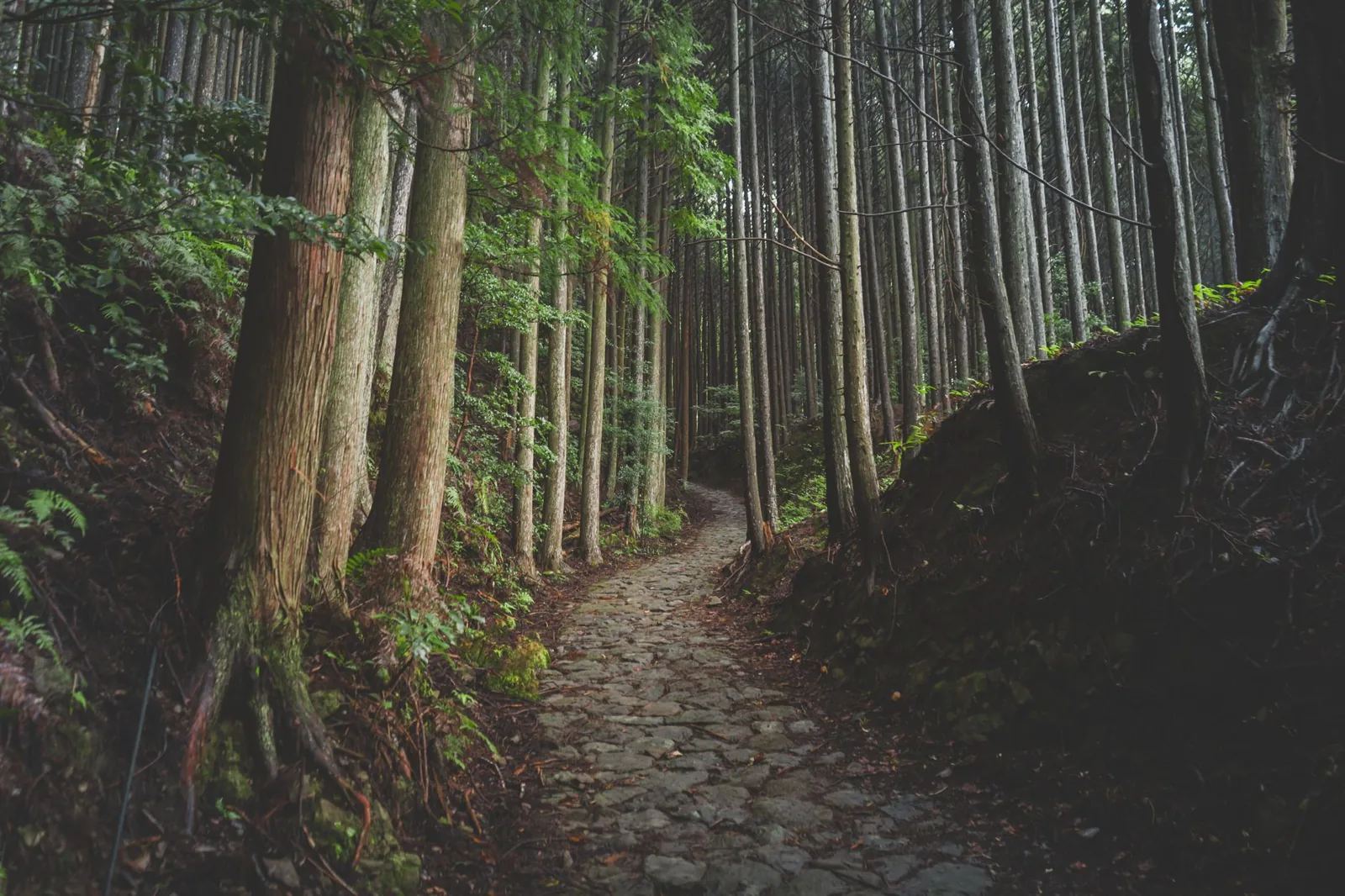 Mount Takao: Tokyos eigener Berg, an einem Tag hinauf und wieder hinunter