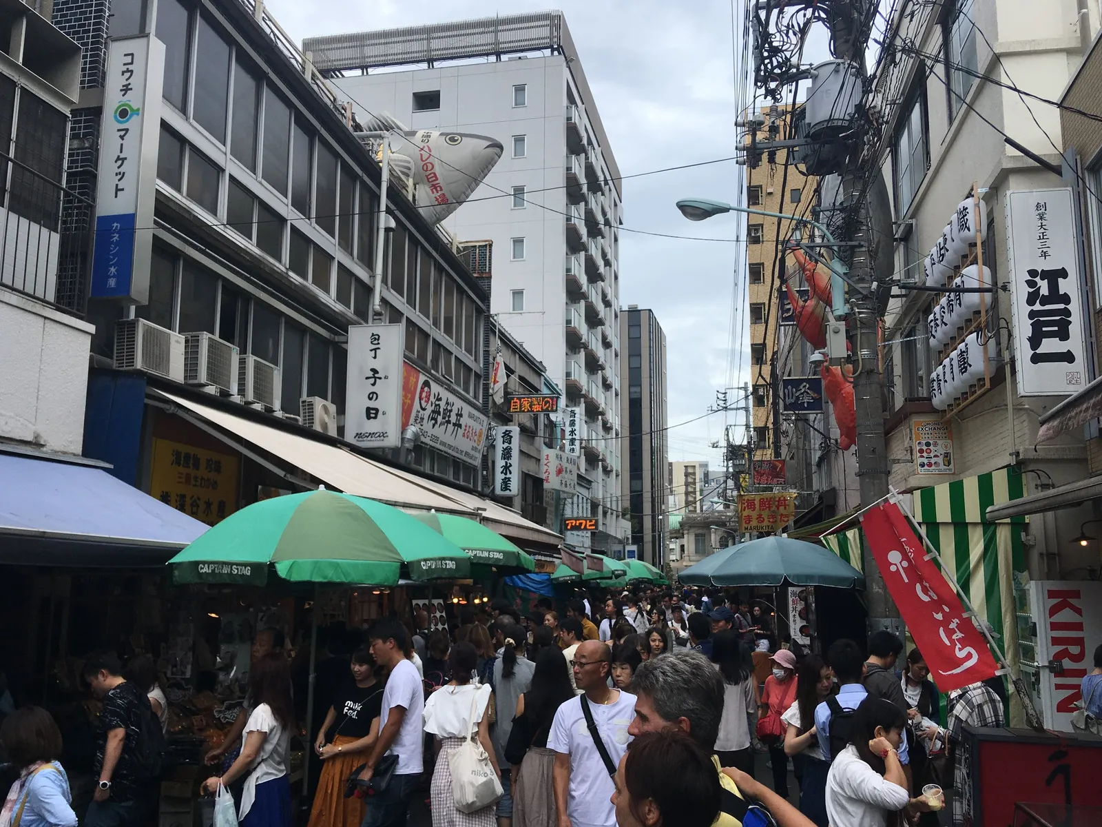 Tsukiji-Morgenmarkt: frühes sushi + 5 Verkostungen