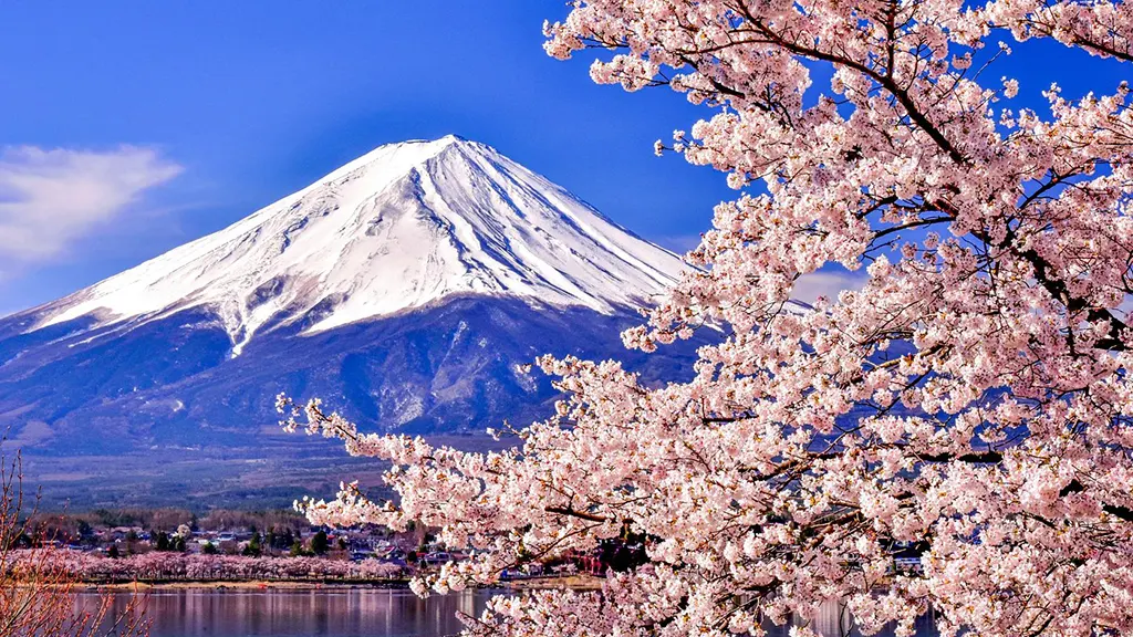 Mt. Fuji & Lake Kawaguchi — full day — 6