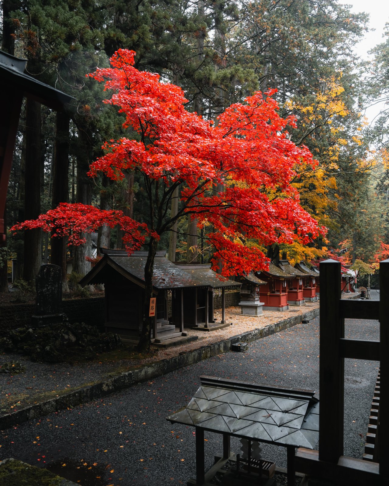 Nikko day trip — Toshogu shrine and Lake Chuzenji — 6