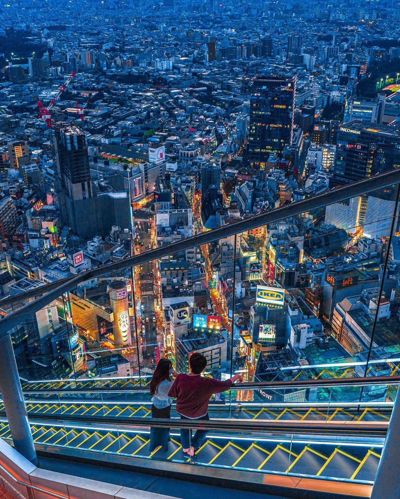 Tokyo night tour by private Alphard — 3