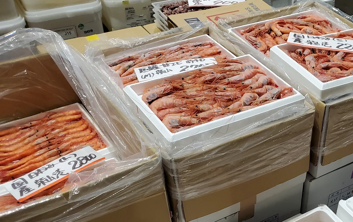Toyosu fish market at dawn + sushi class — 6