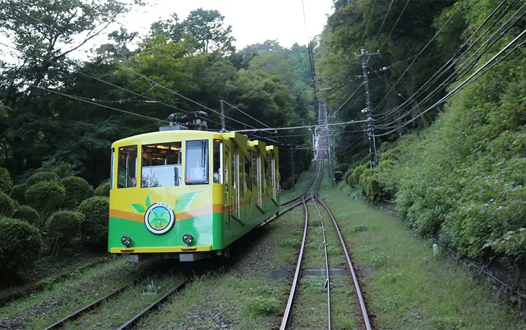 Mt. Takao one-day hiking tour — 5