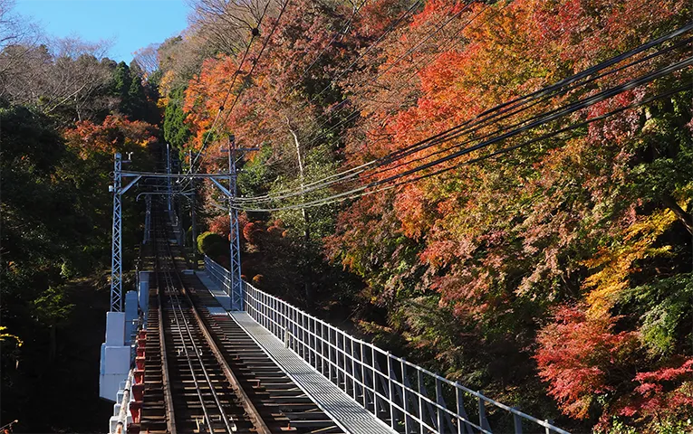 Mt. Takao one-day hiking tour — 6