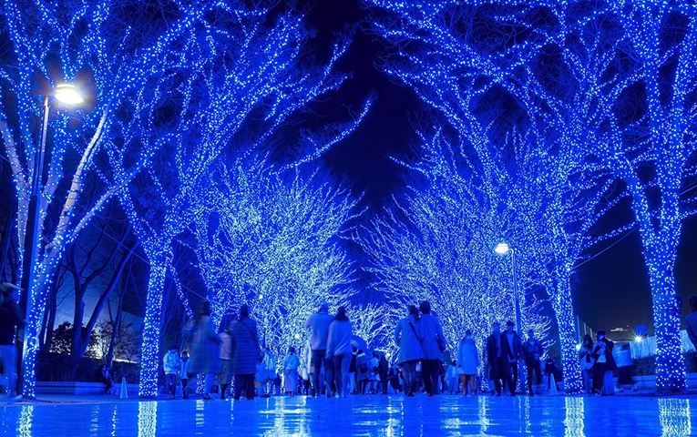 Experience the magic of Christmas — 5