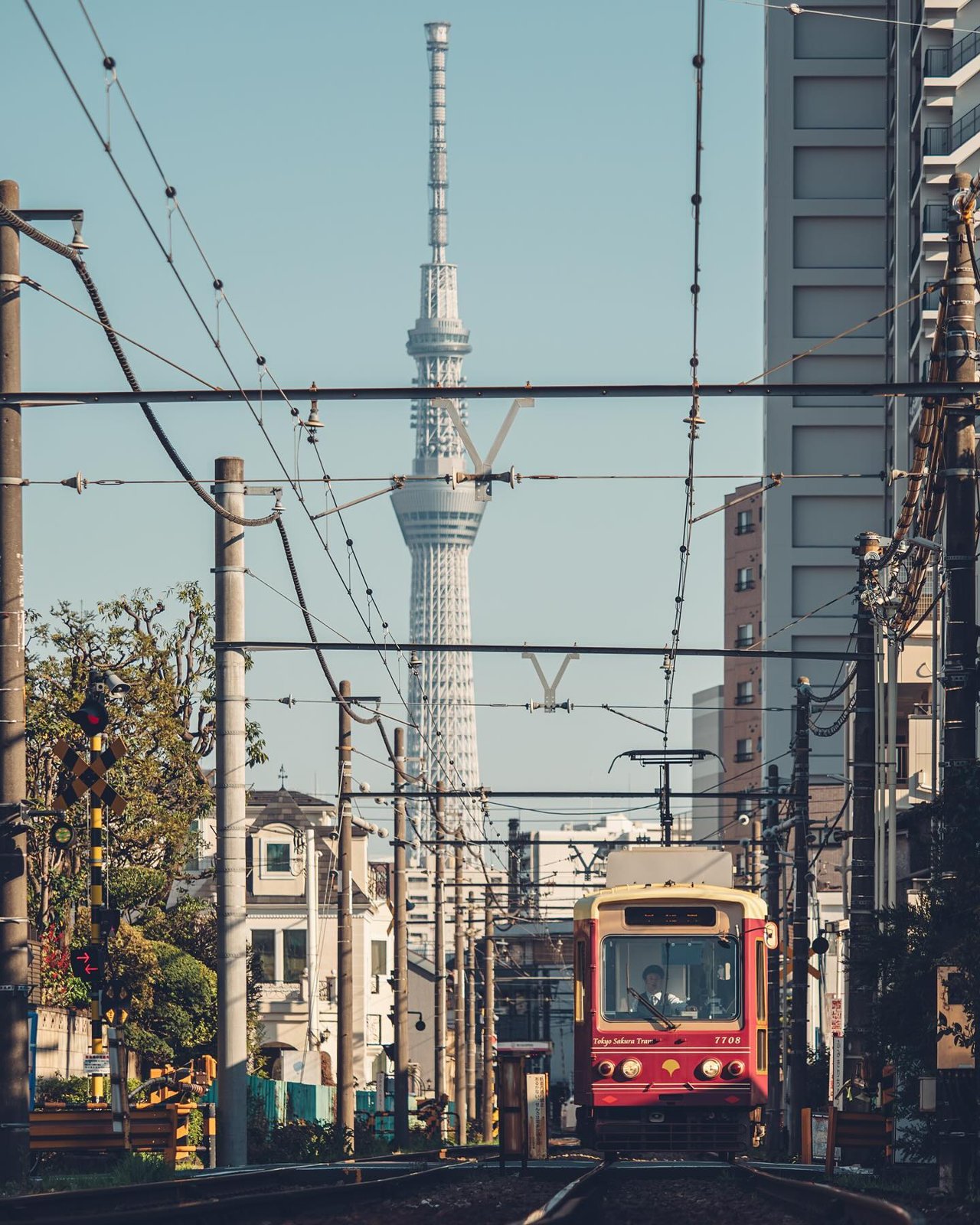 Tour privado por lo mejor de Tokio — 8 horas en coche privado — 3