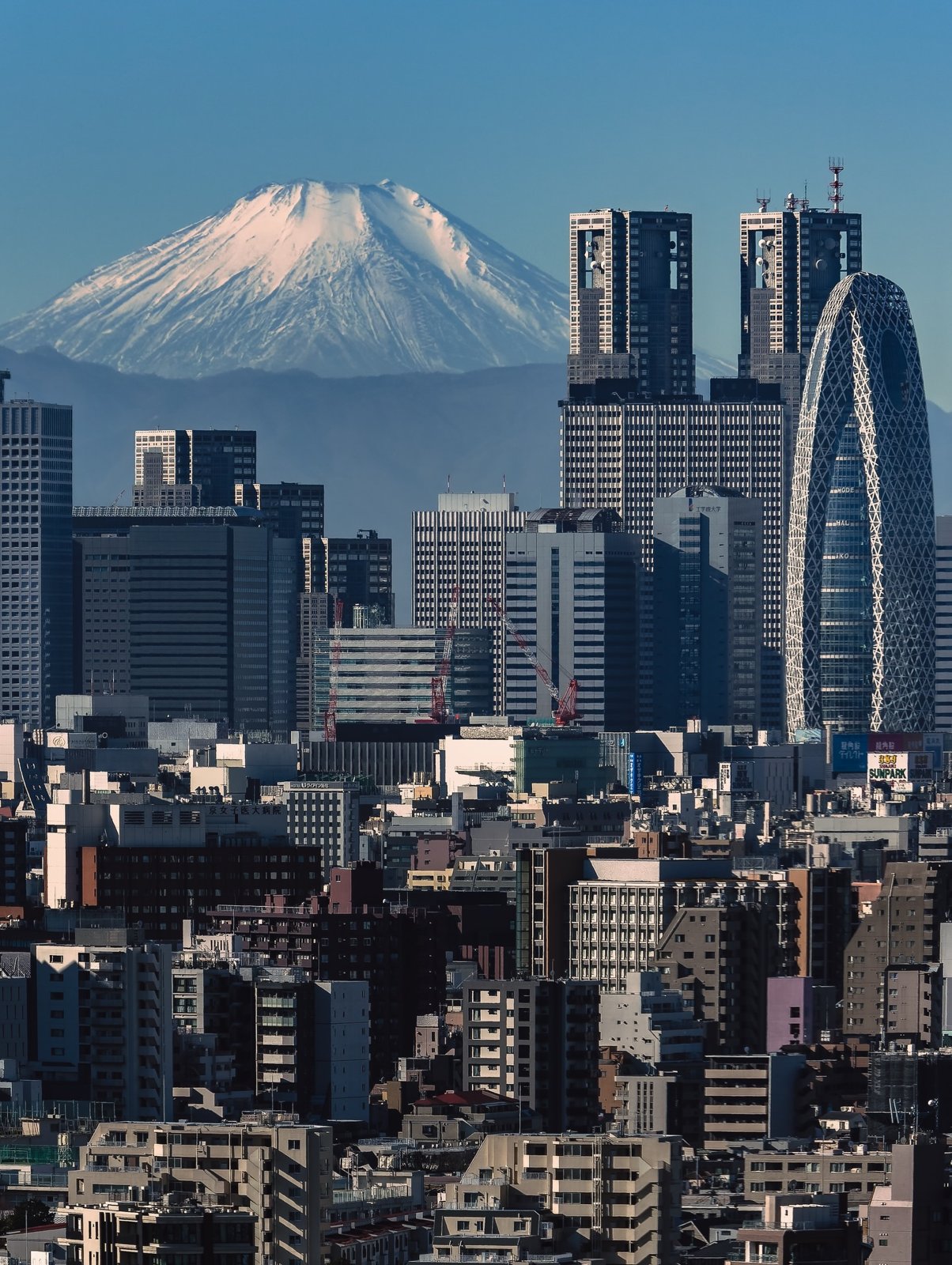 Tour privado por lo mejor de Tokio — 8 horas en coche privado — 6