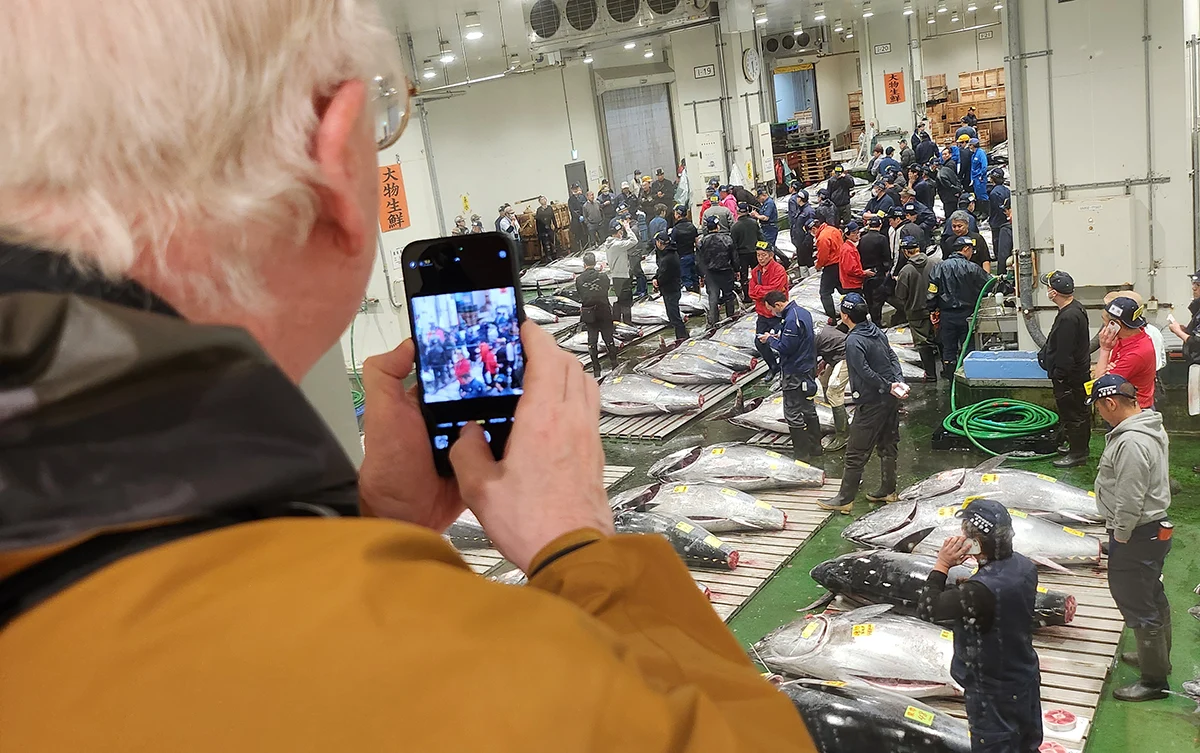 Fischmarkt Toyosu im Morgengrauen + Sushi-Kurs — 2