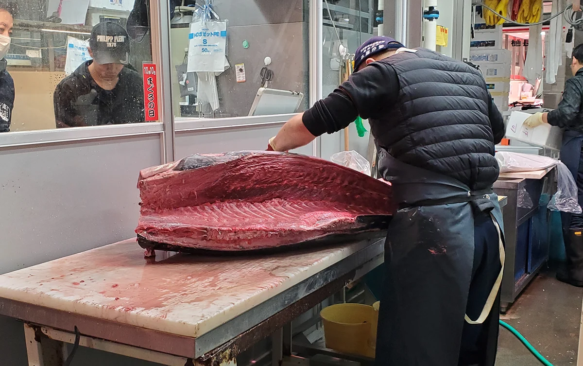 Fischmarkt Toyosu im Morgengrauen + Sushi-Kurs — 4