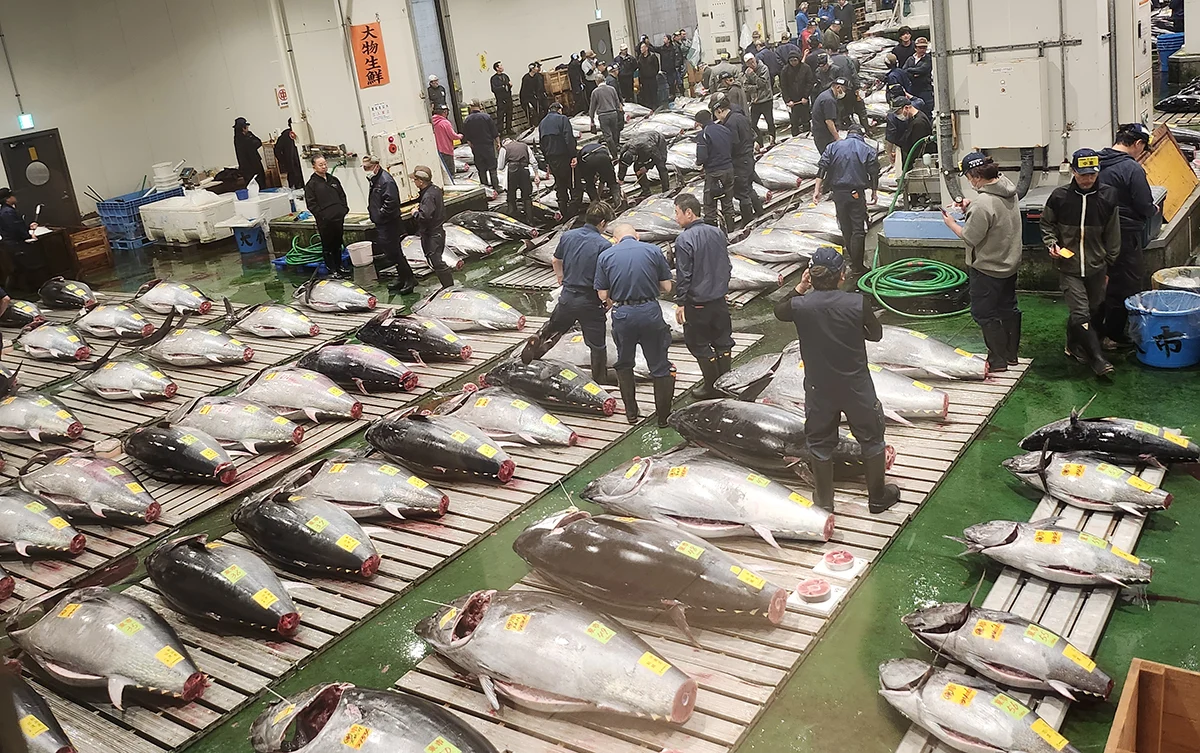 Fischmarkt Toyosu im Morgengrauen + Sushi-Kurs — 6