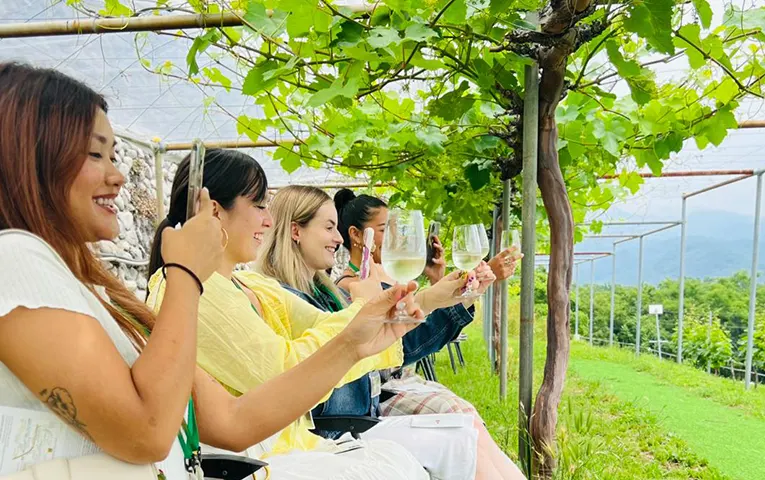 Private wine tasting in Yamanashi — from Tokyo — 2
