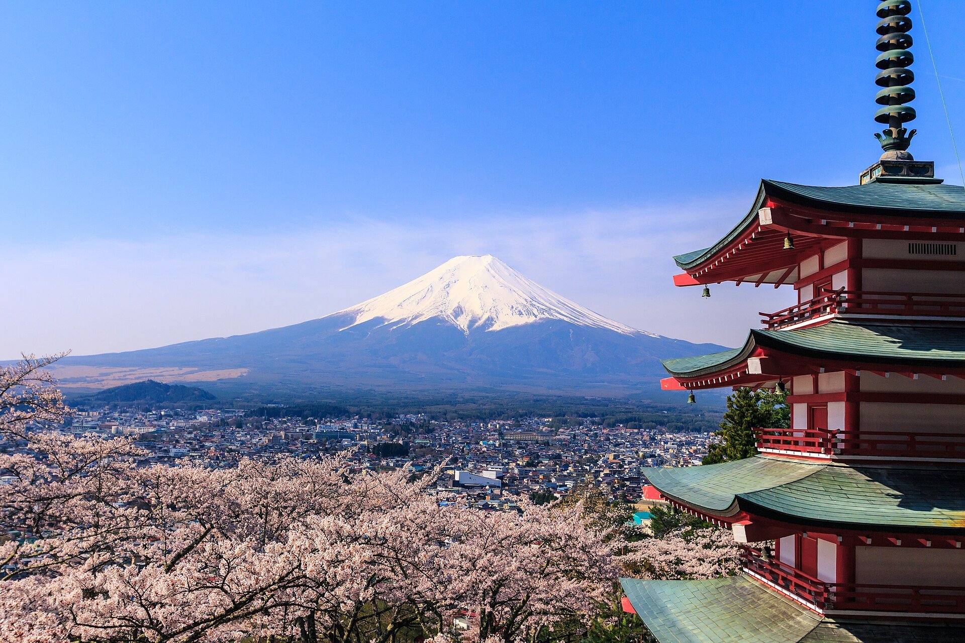 Japan Cherry Blossom Tour: 10 Days from Tokyo to Osaka — OlaChill day tour