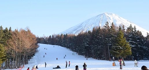 Mt. Fuji ski-resort tour from Tokyo