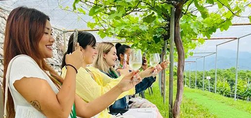 Private wine-tasting tour in Yamanashi Prefecture, from Tokyo.
