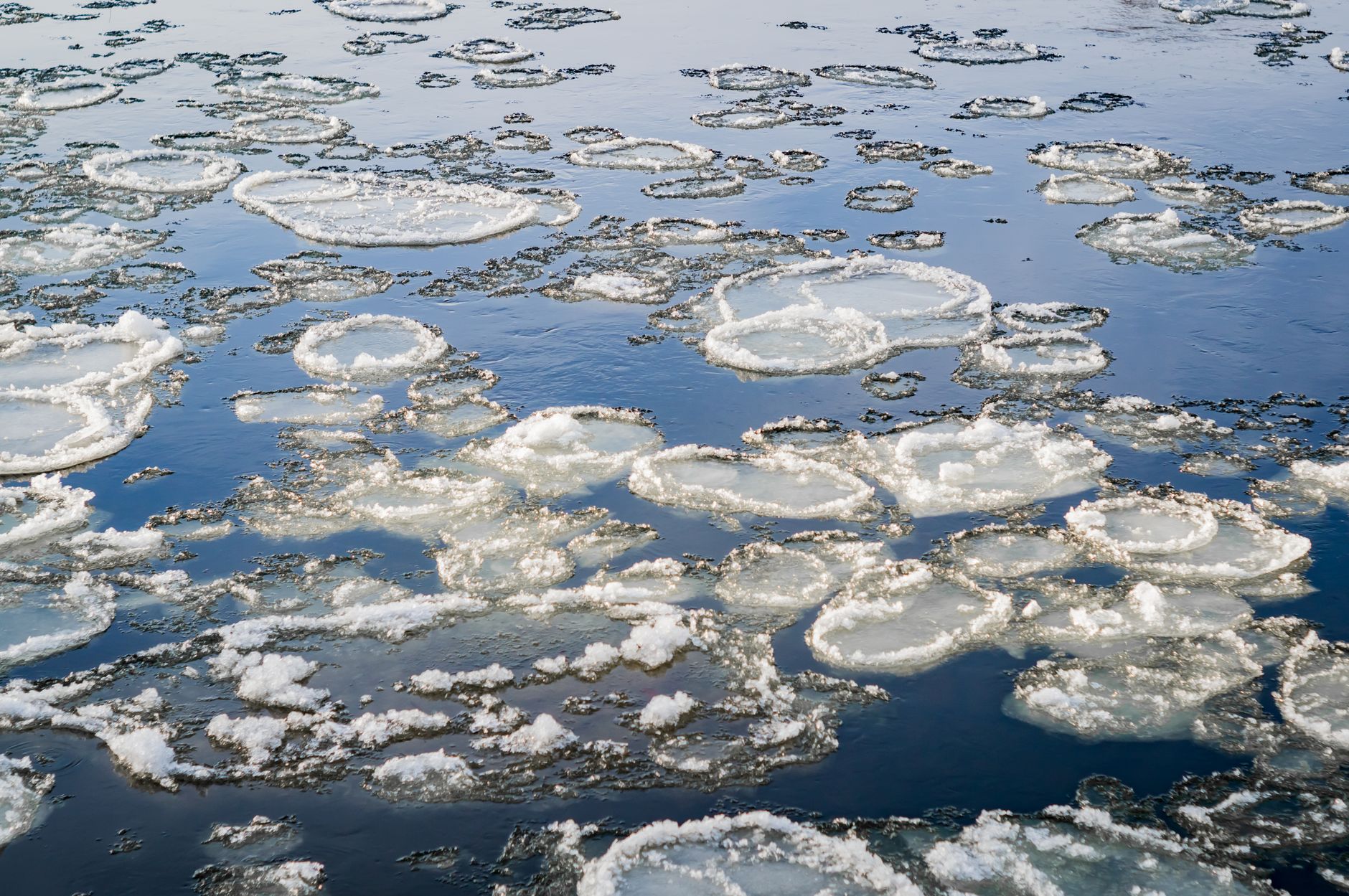 Complete Guide to Abashiri Drift Ice Sightseeing! Enjoy Winter's Spectacular Scenery on the Icebreaker 'Aurora'