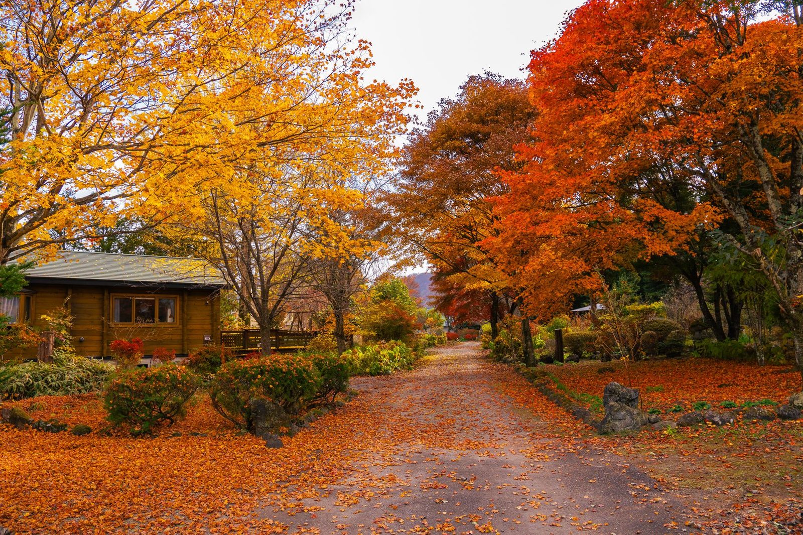 Karuizawa 단풍 여행 완벽 가이드: Nagano 고원의 가을을 만나는 법